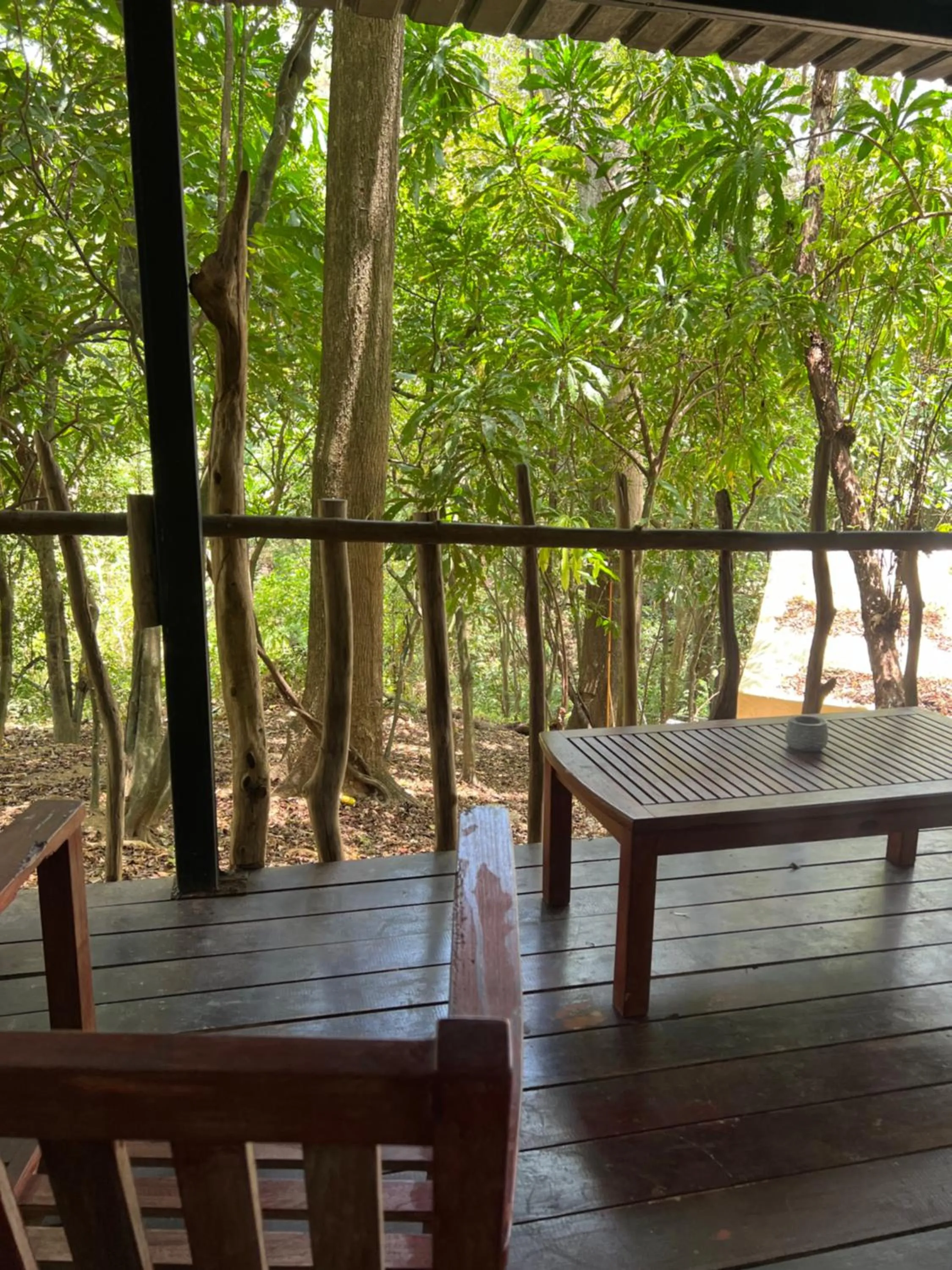 Garden view in Saboga Lodge