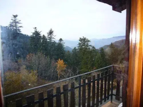 Single Room in Hôtel Les Chamois Single Room in Hôtel Les Chamois