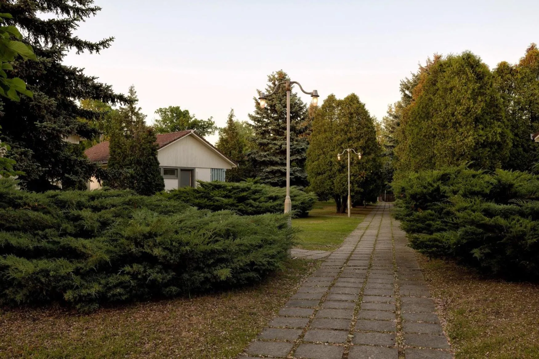 Garden in Parti Üdülő