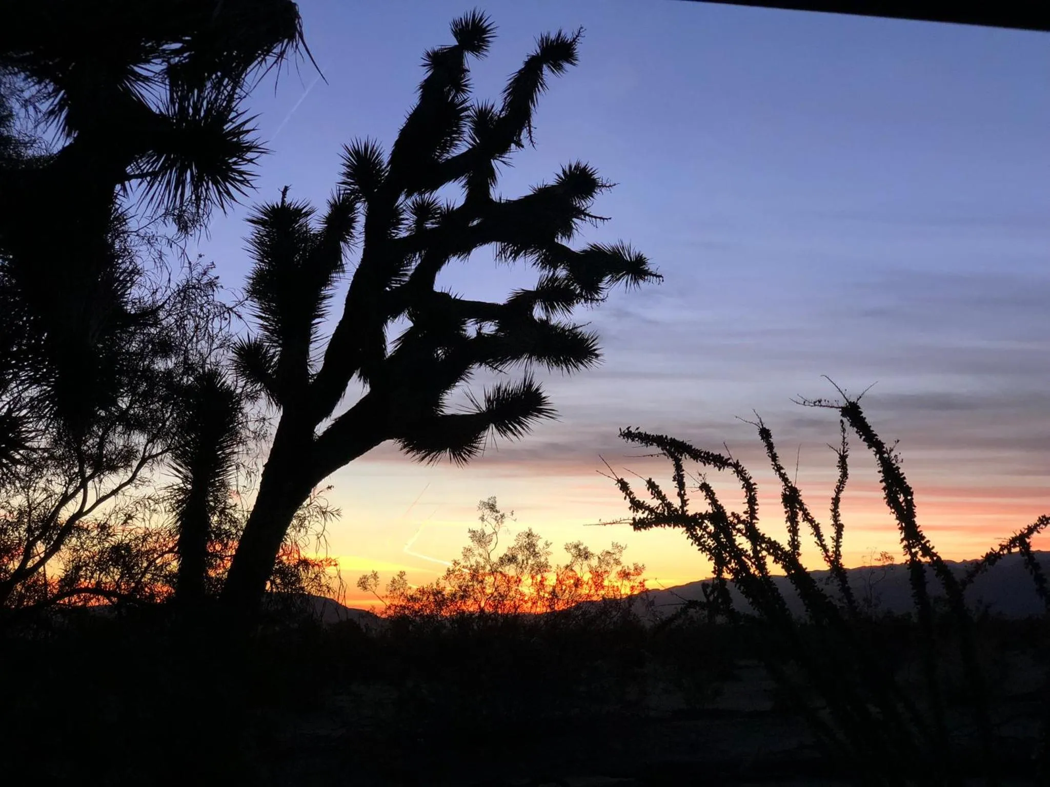 View (from property/room) in Popular Homestead! Location, Stargaze, Views!