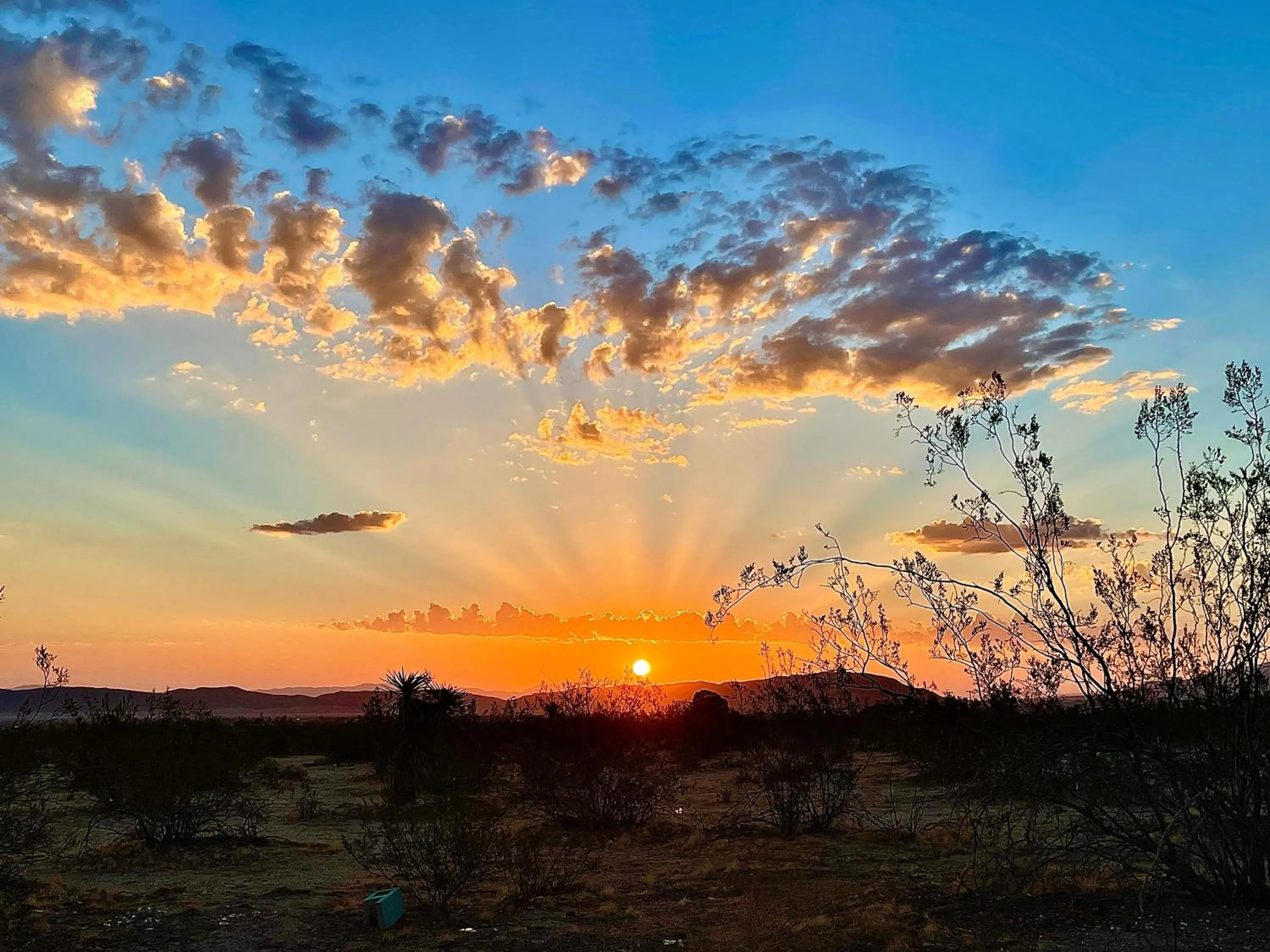 View (from property/room) in Popular Homestead! Location, Stargaze, Views!