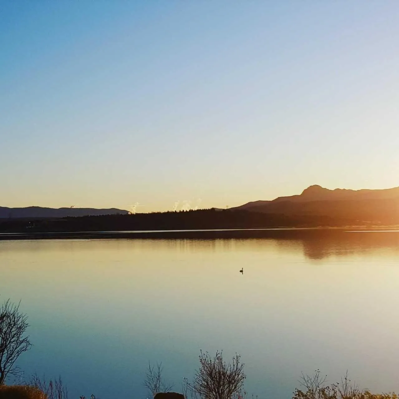 Natural landscape in Hotel Kriunes