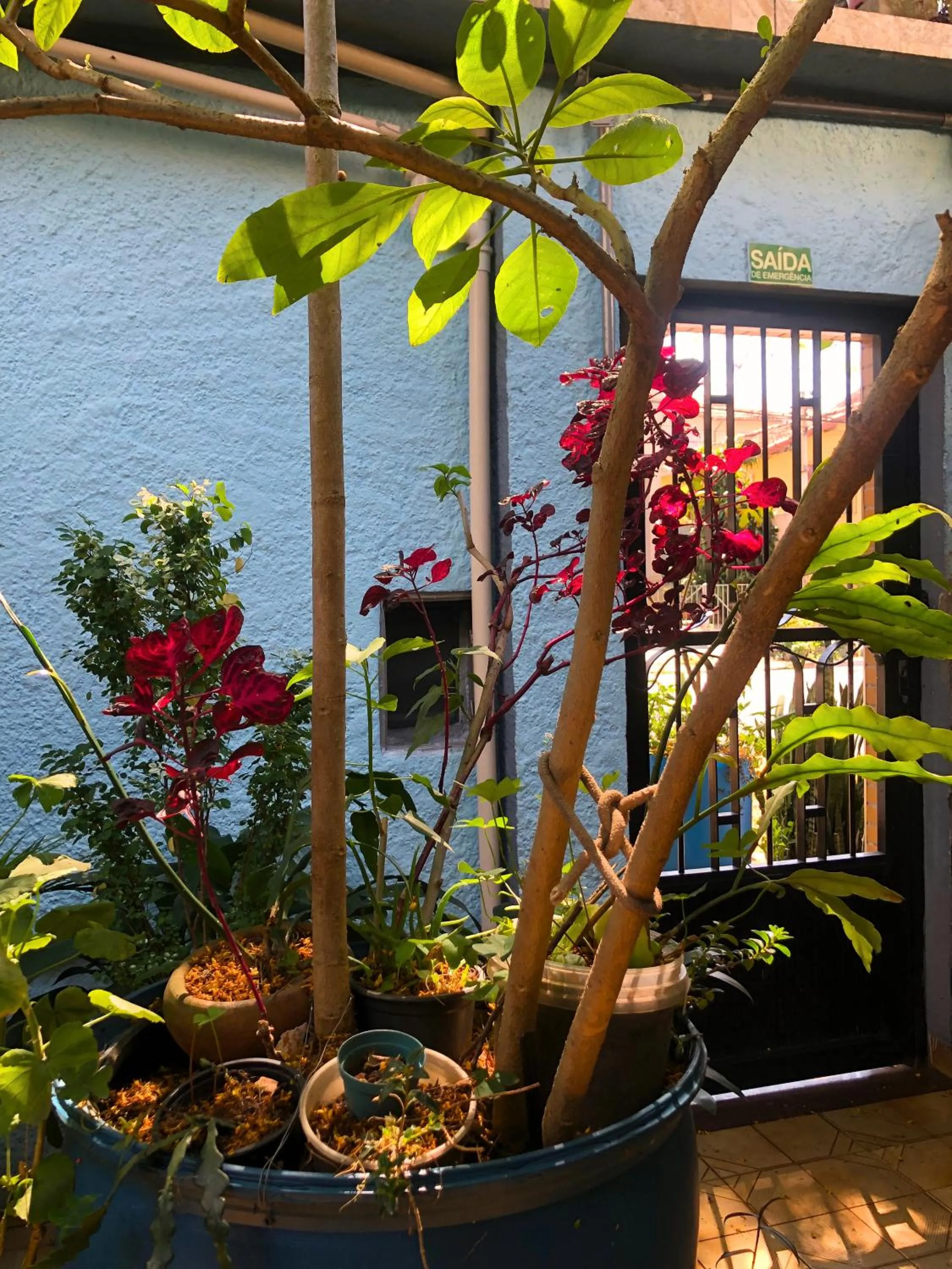 Micasa Hostel - Congonhas
