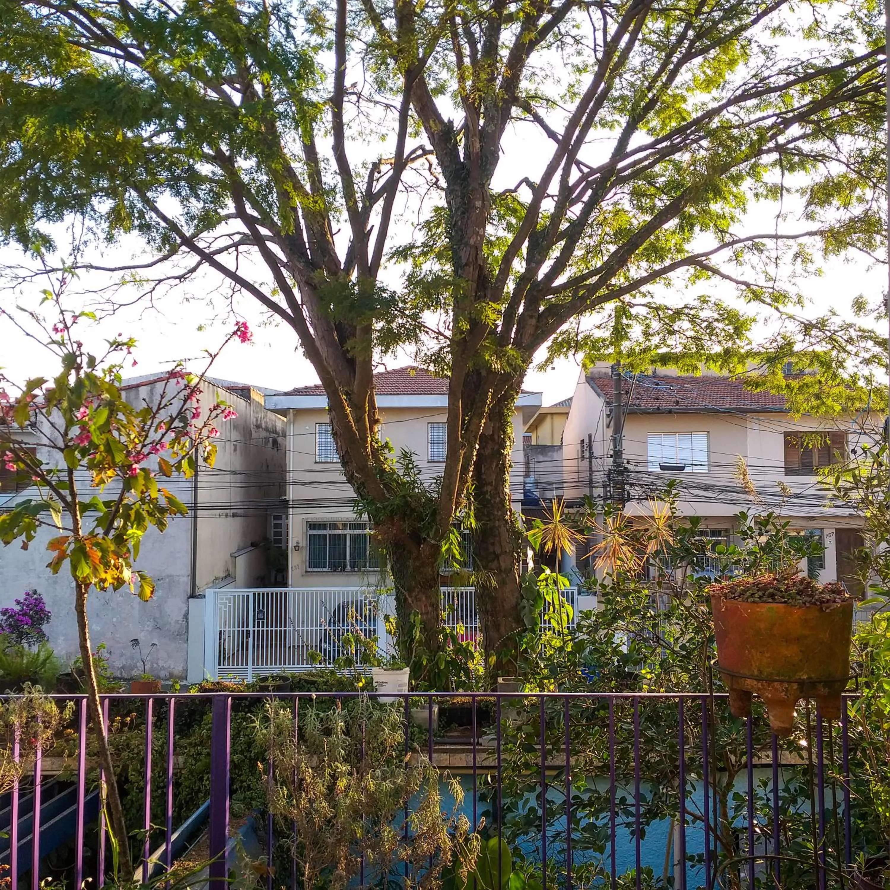 Micasa Hostel - Congonhas