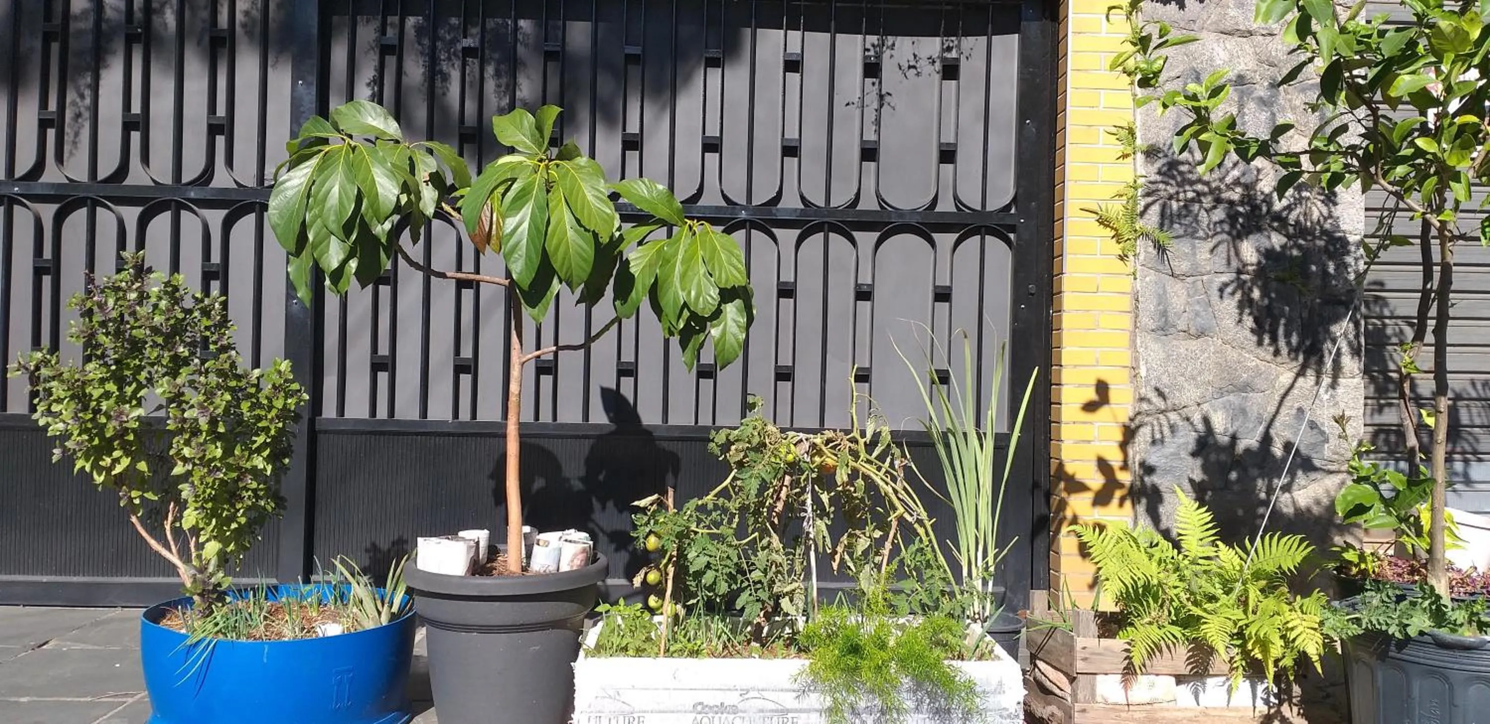 Garden in Micasa Hostel - Congonhas