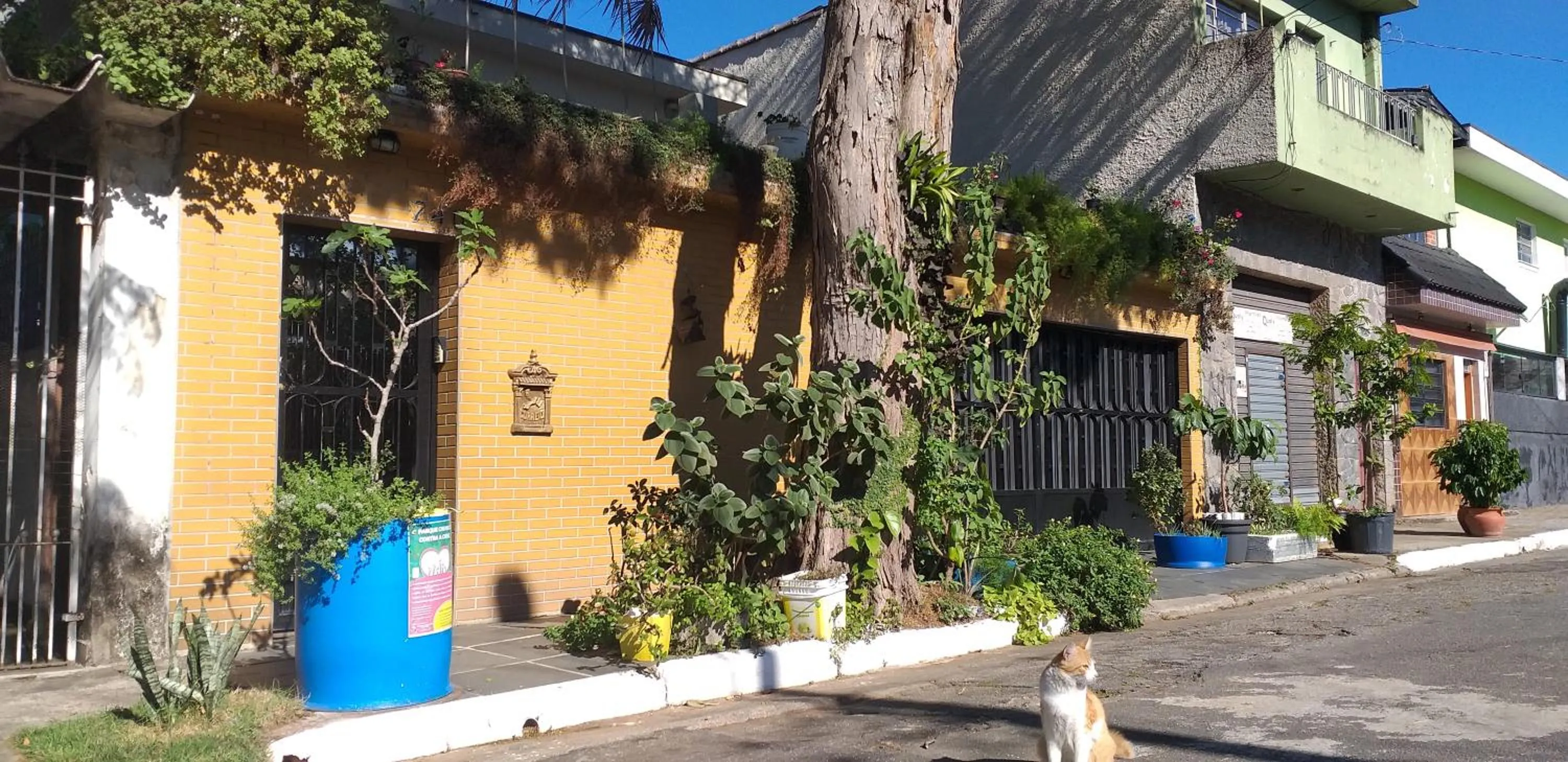 Facade/entrance in Micasa Hostel - Congonhas