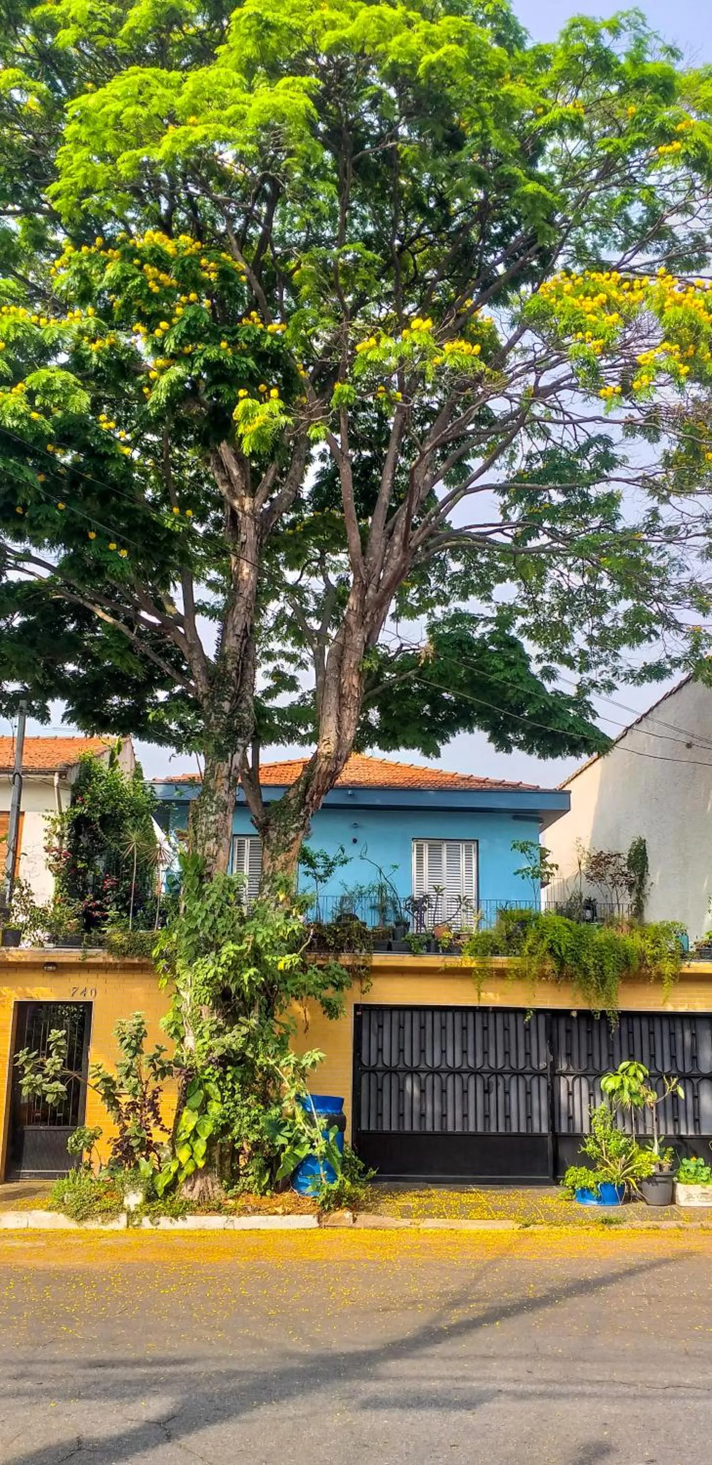 Micasa Hostel - Congonhas