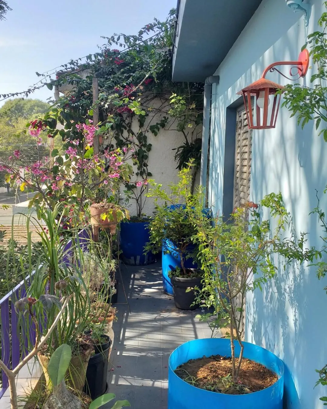 Micasa Hostel - Congonhas