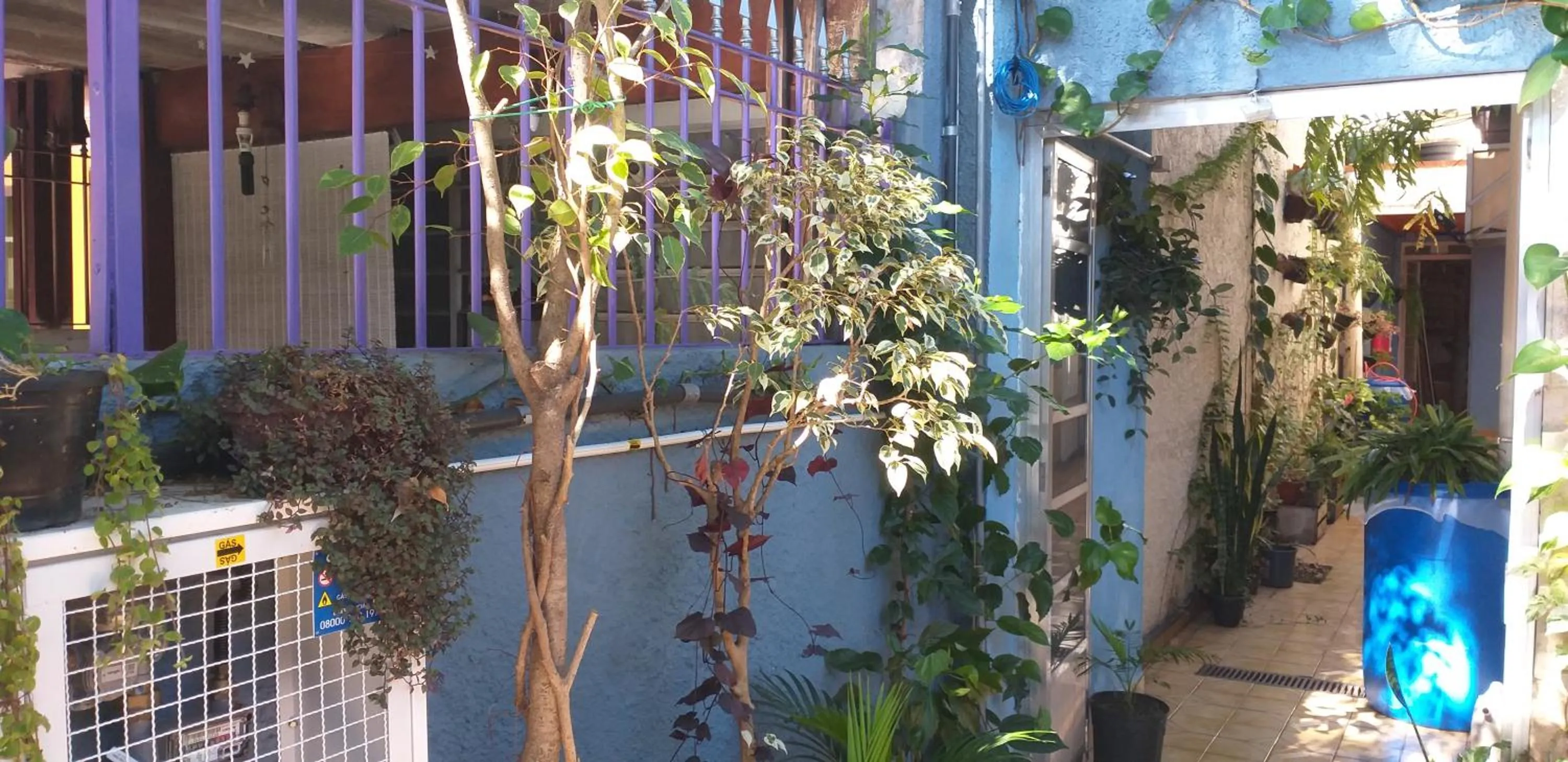 Garden in Micasa Hostel - Congonhas