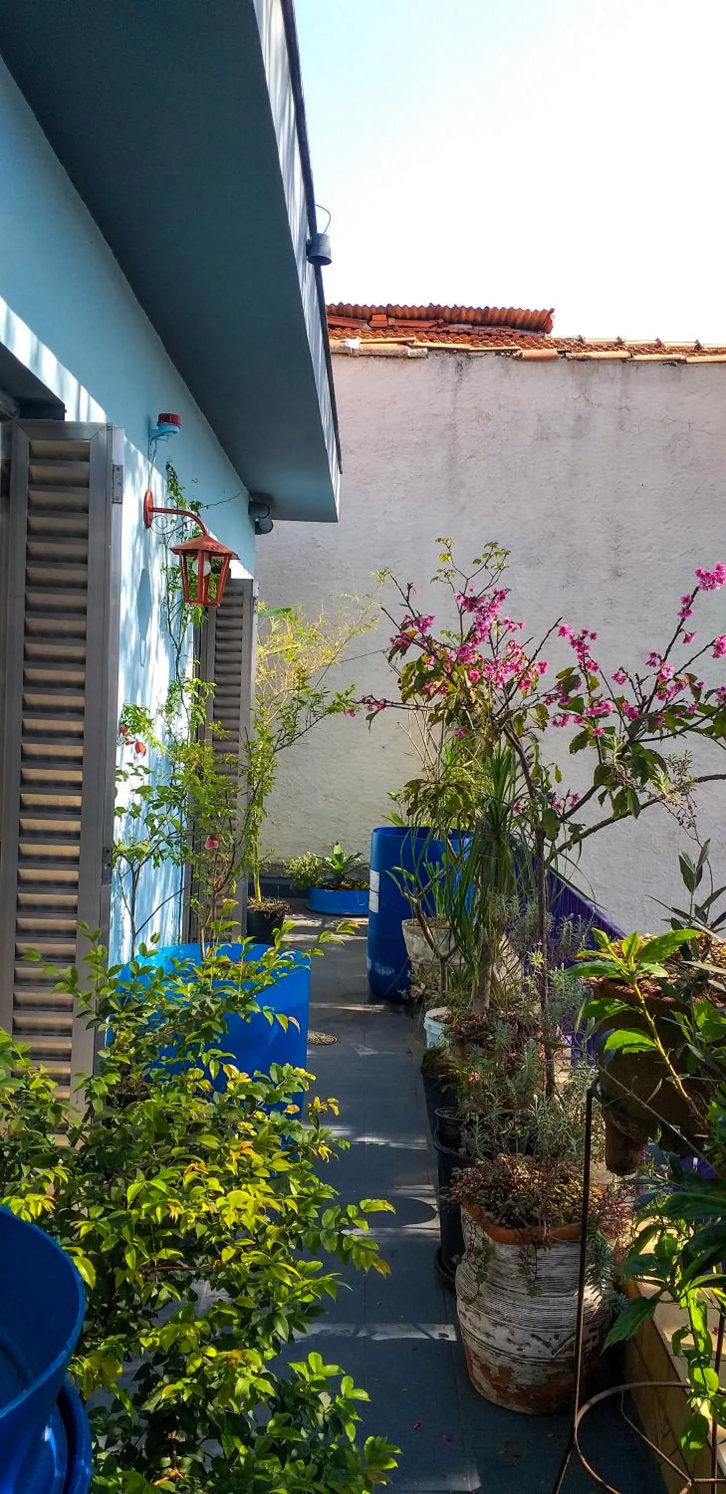 Micasa Hostel - Congonhas