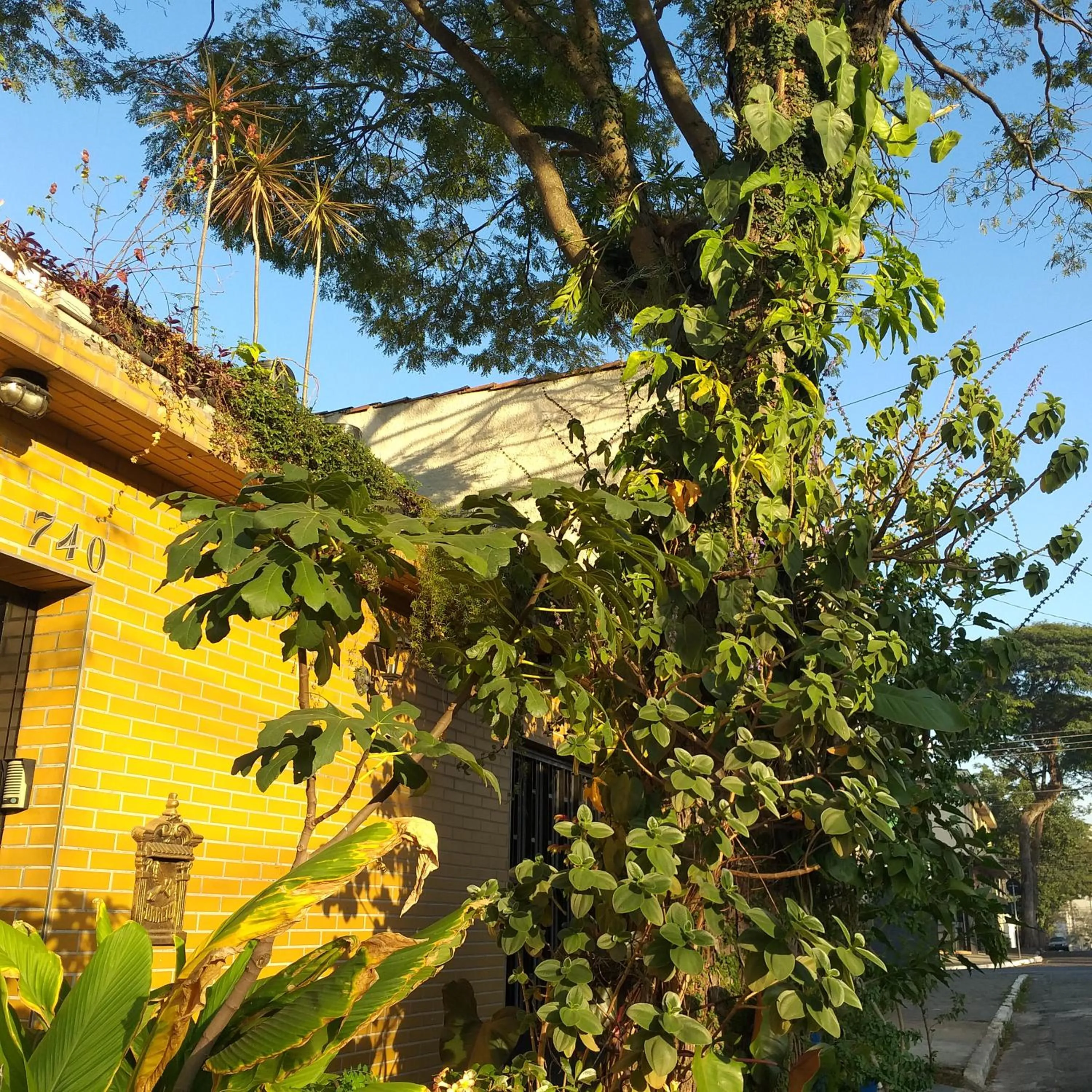 Micasa Hostel - Congonhas