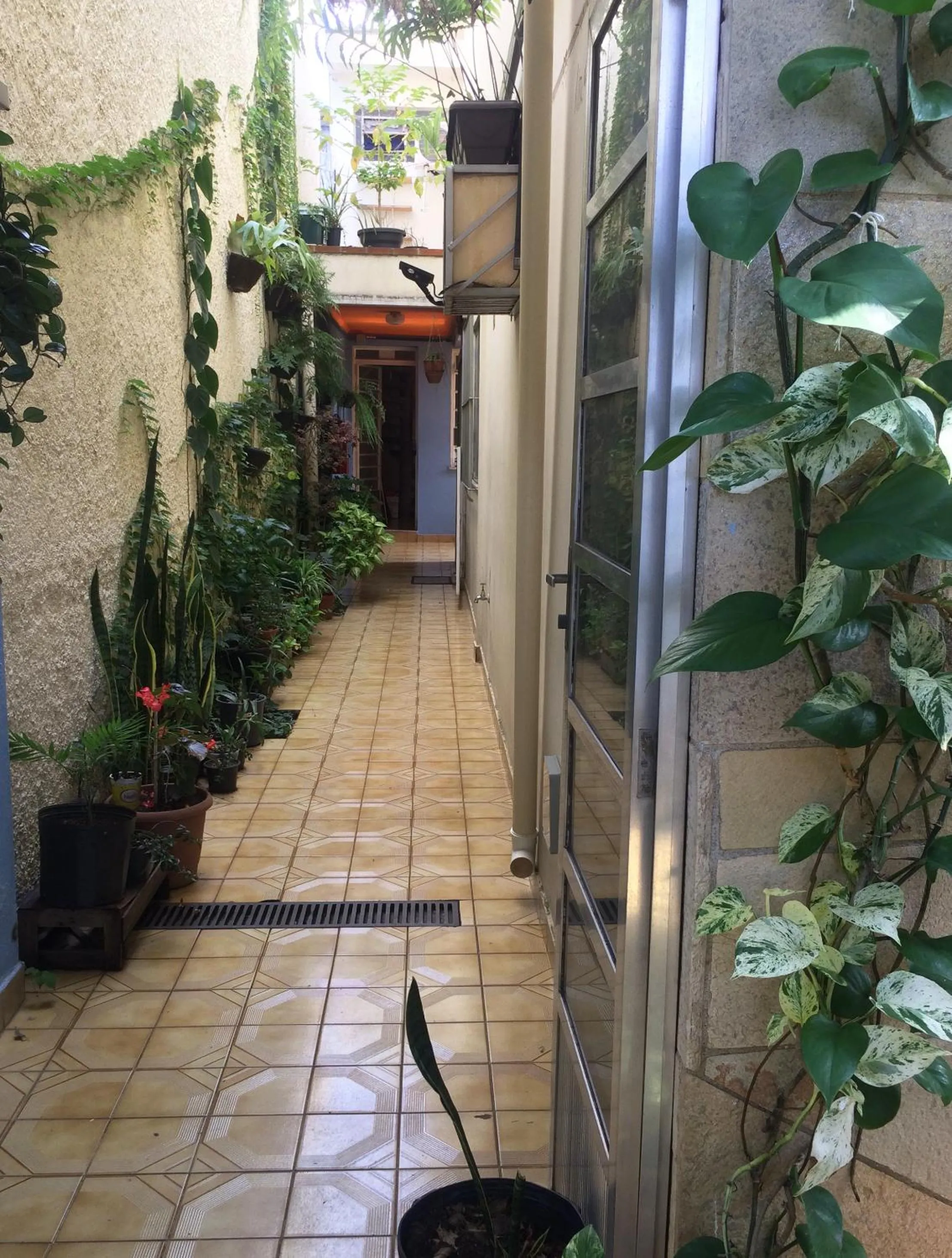 Garden in Micasa Hostel - Congonhas