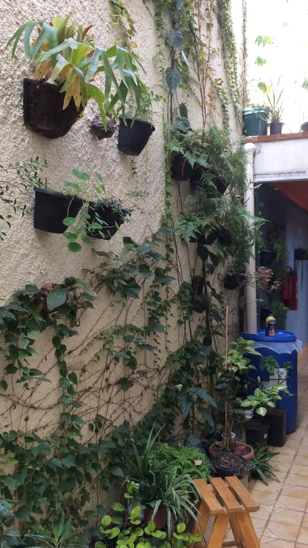Garden in Micasa Hostel - Congonhas