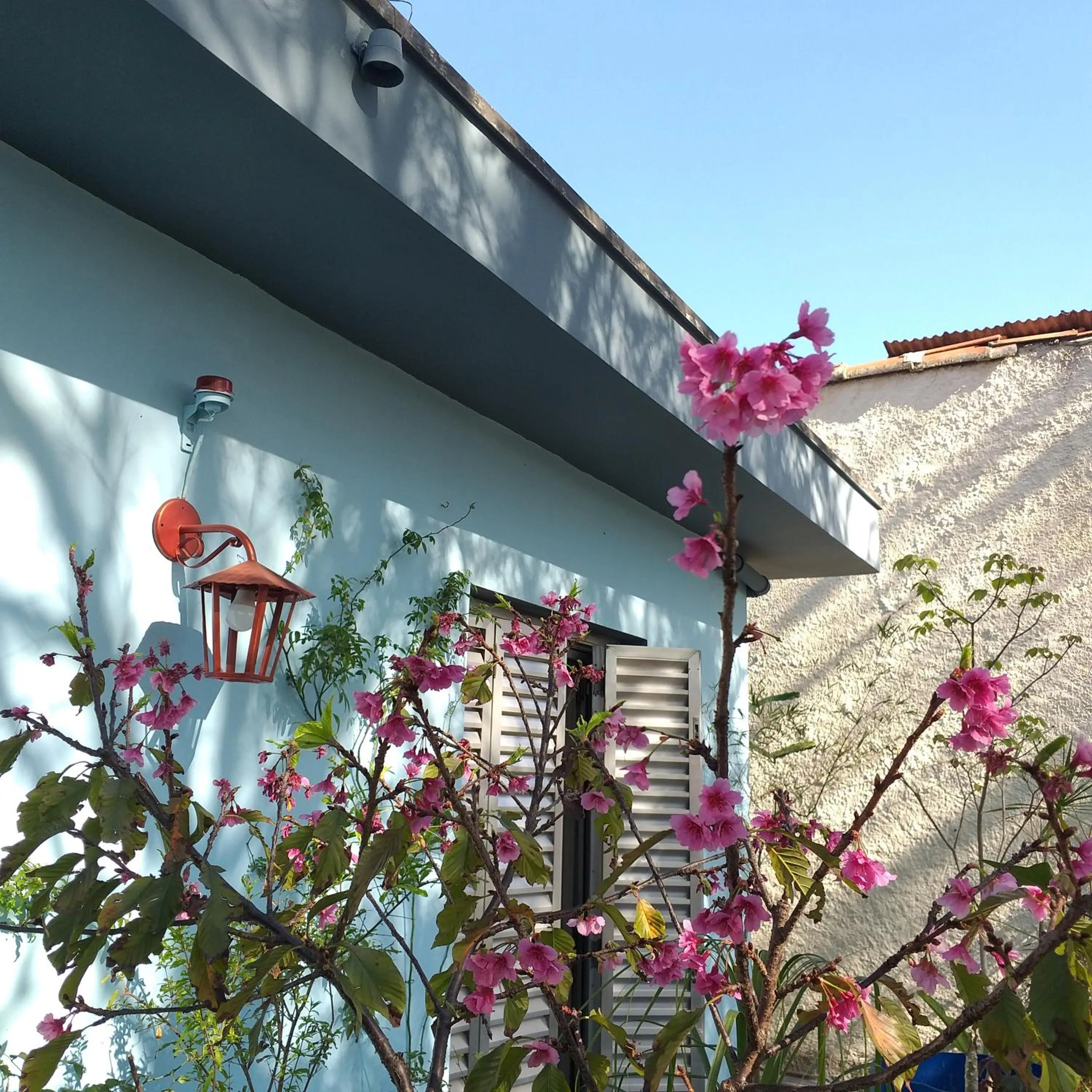Micasa Hostel - Congonhas