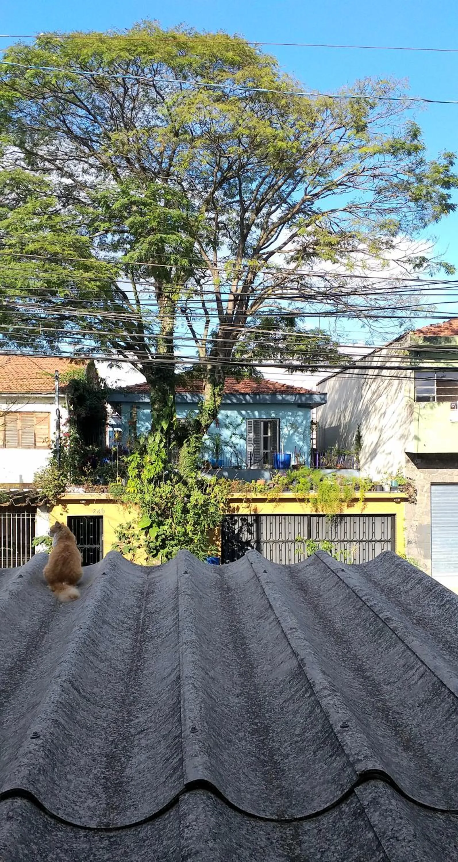 Micasa Hostel - Congonhas