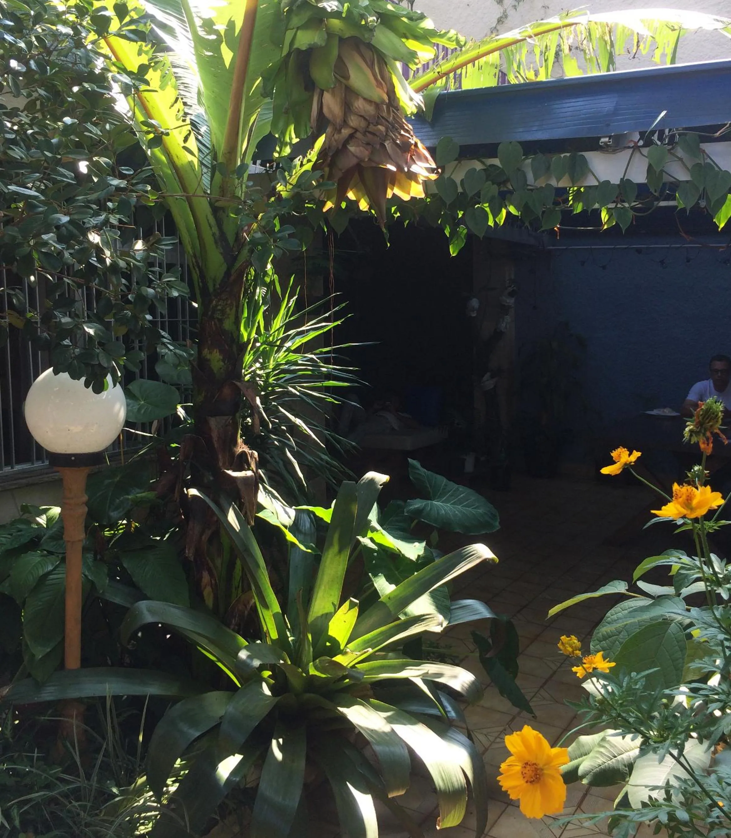 Garden in Micasa Hostel - Congonhas