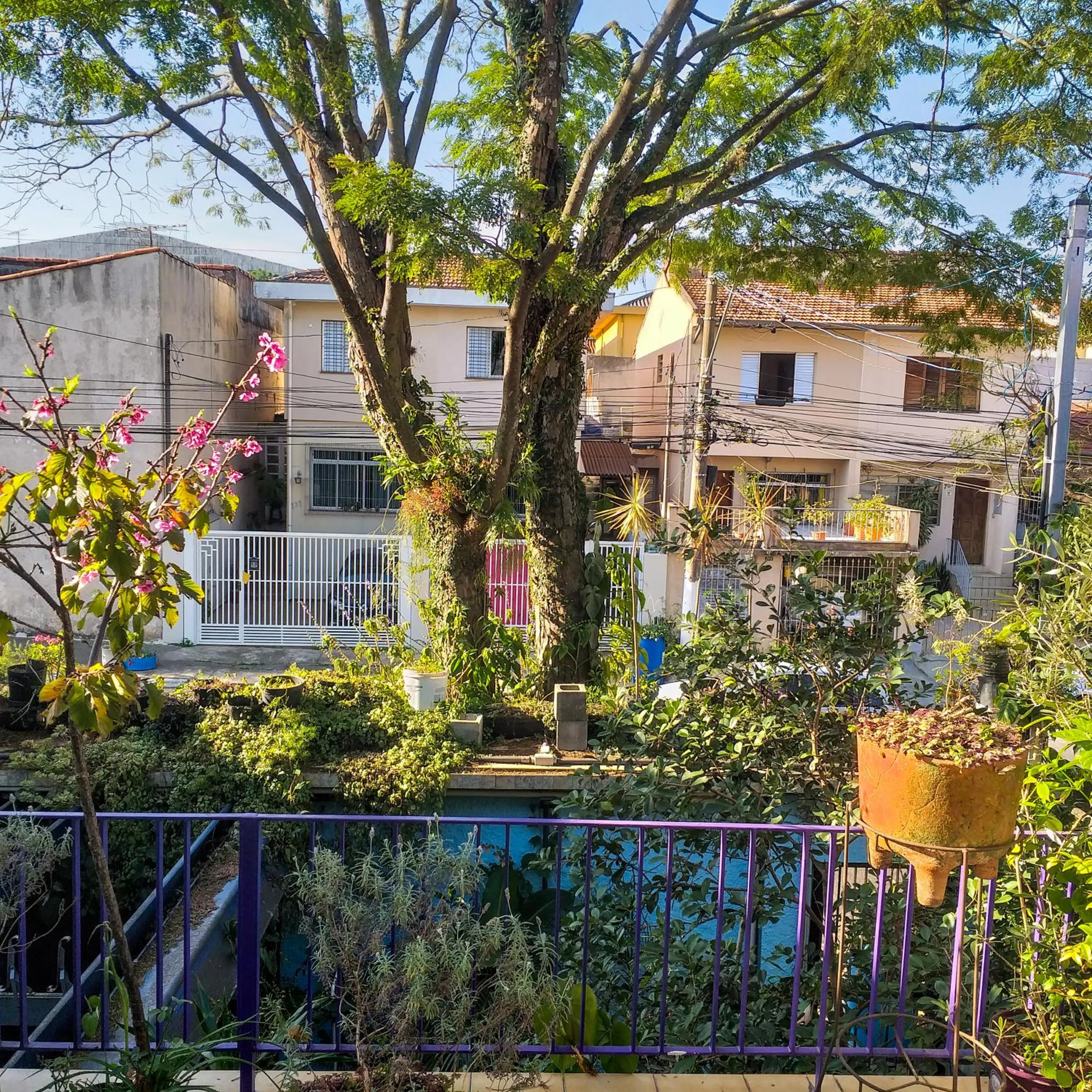 Micasa Hostel - Congonhas