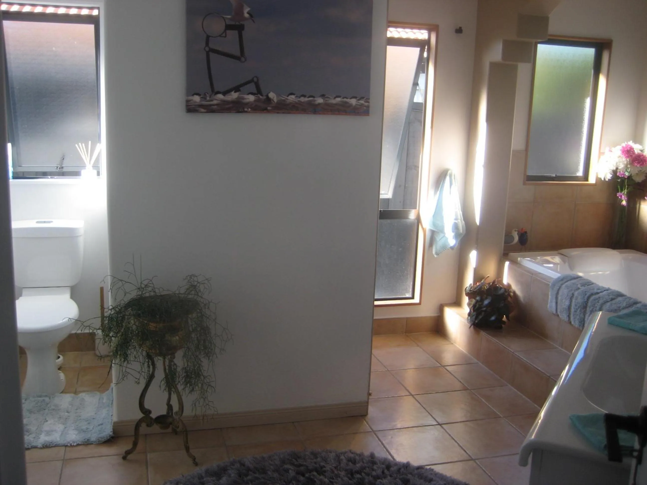 Bed in Sunkist B & B