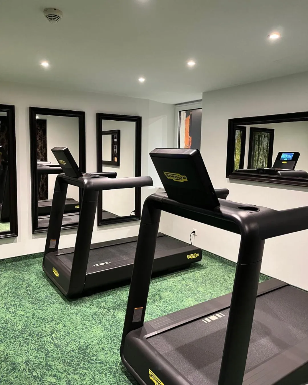 Fitness centre/facilities in Mercure Strasbourg Centre Petite France
