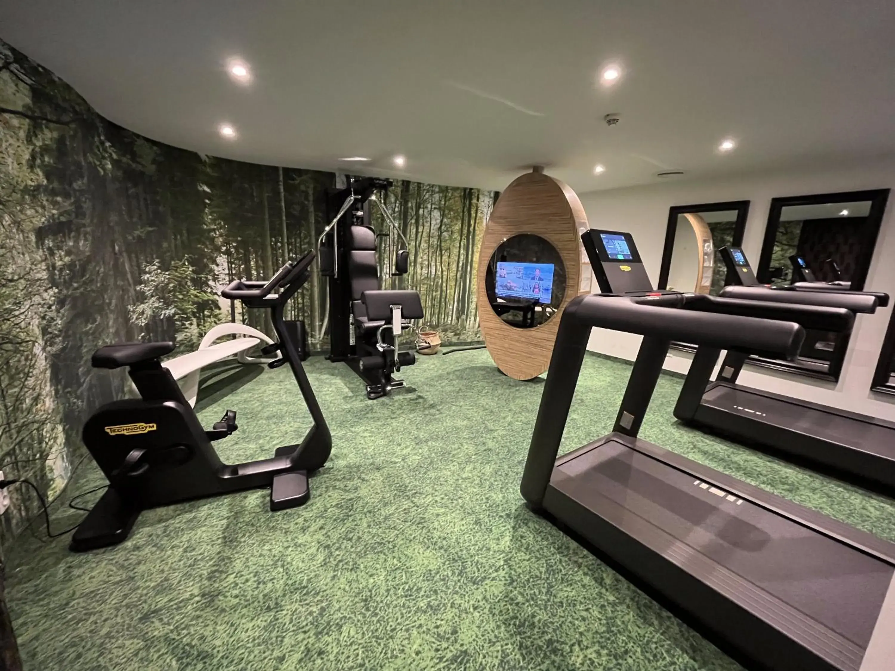 Fitness centre/facilities in Mercure Strasbourg Centre Petite France Fitness centre/facilities in Mercure Strasbourg Centre Petite France