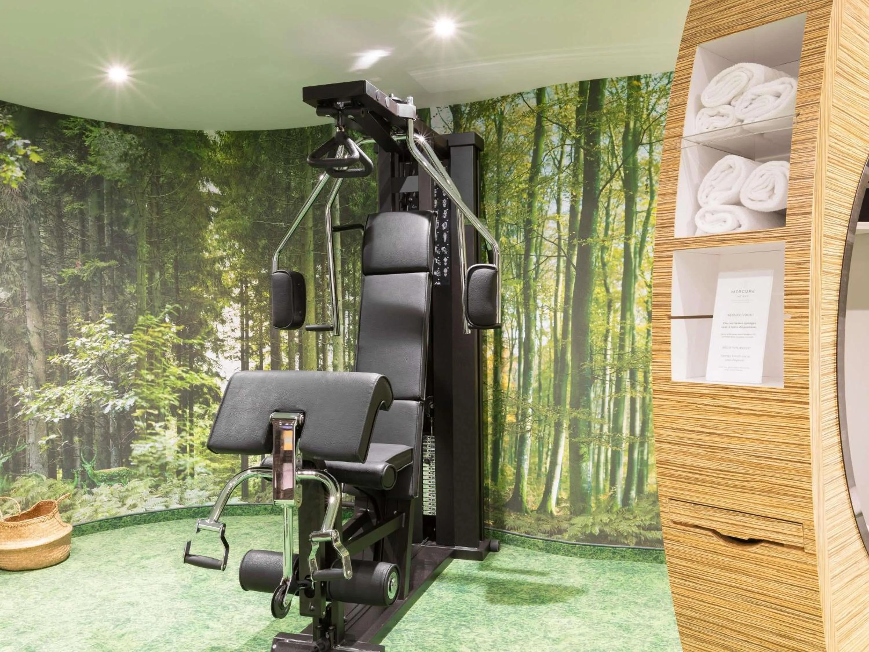Fitness centre/facilities in Mercure Strasbourg Centre Petite France