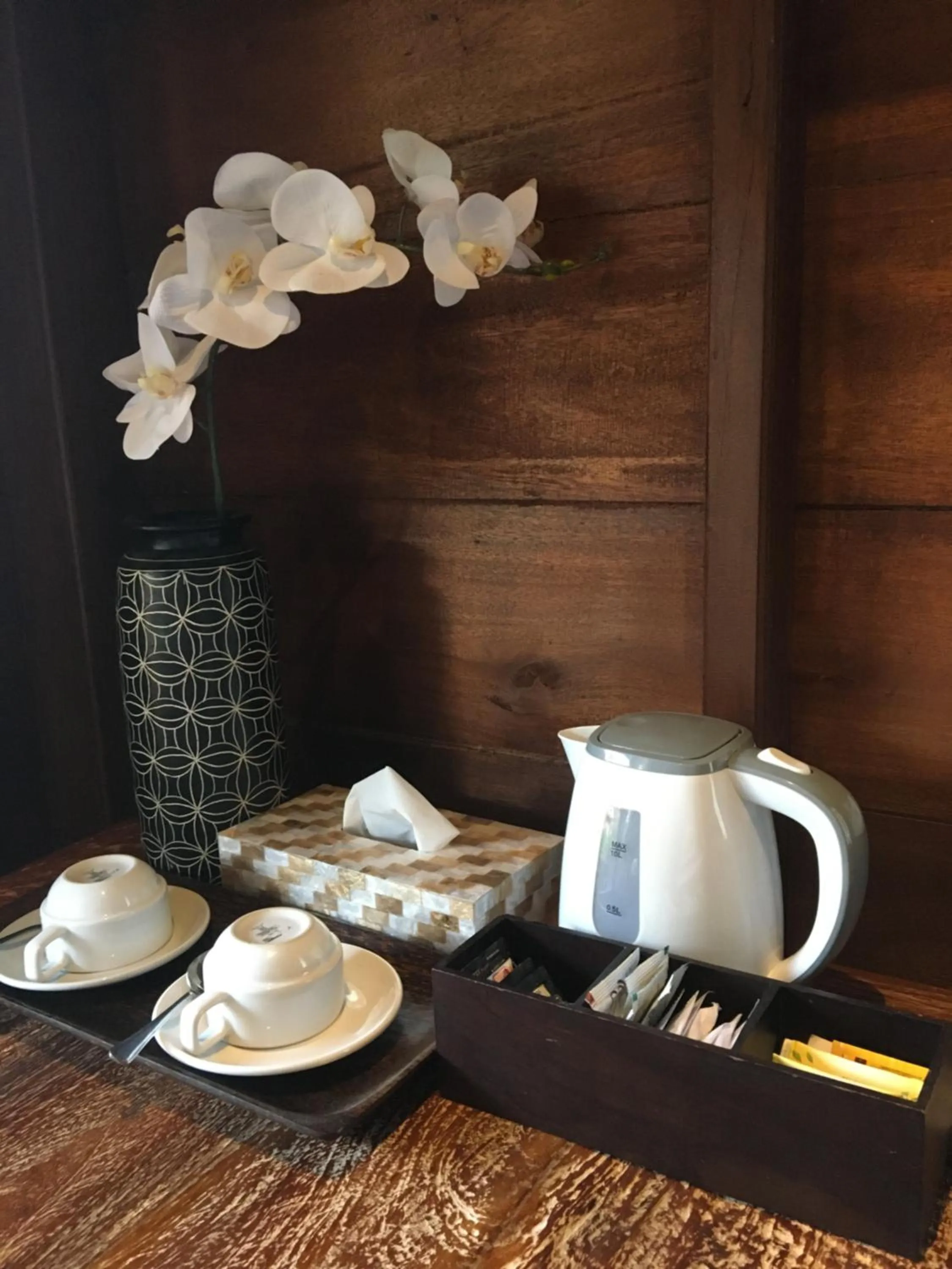 The Jungle Villa Family