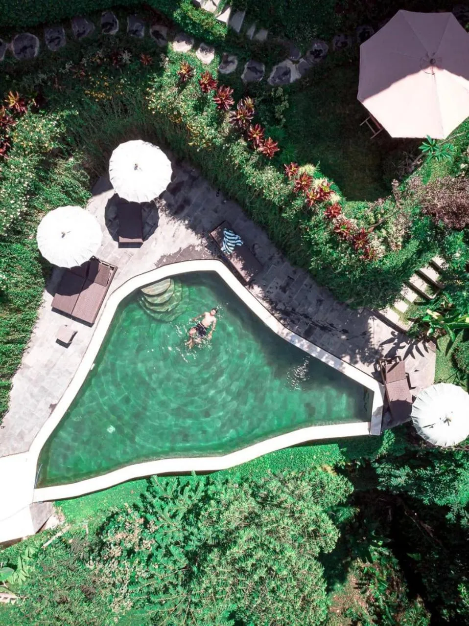 Bird's eye view in The Jungle Villa Family