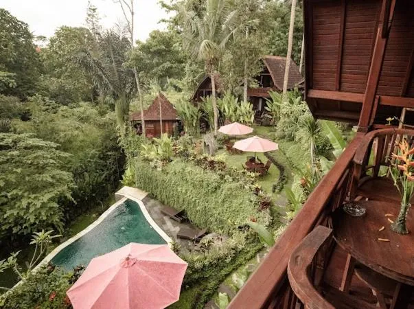 The Jungle Villa Family