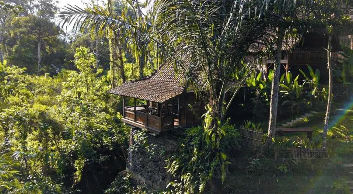 One-Bedroom Villa in The Jungle Villa Family One-Bedroom Villa in The Jungle Villa Family