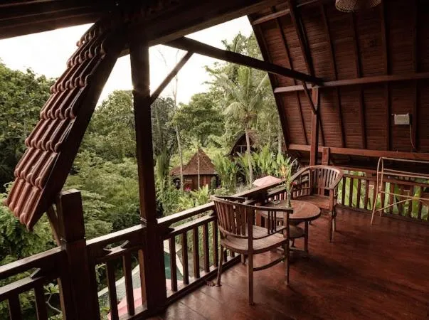 The Jungle Villa Family