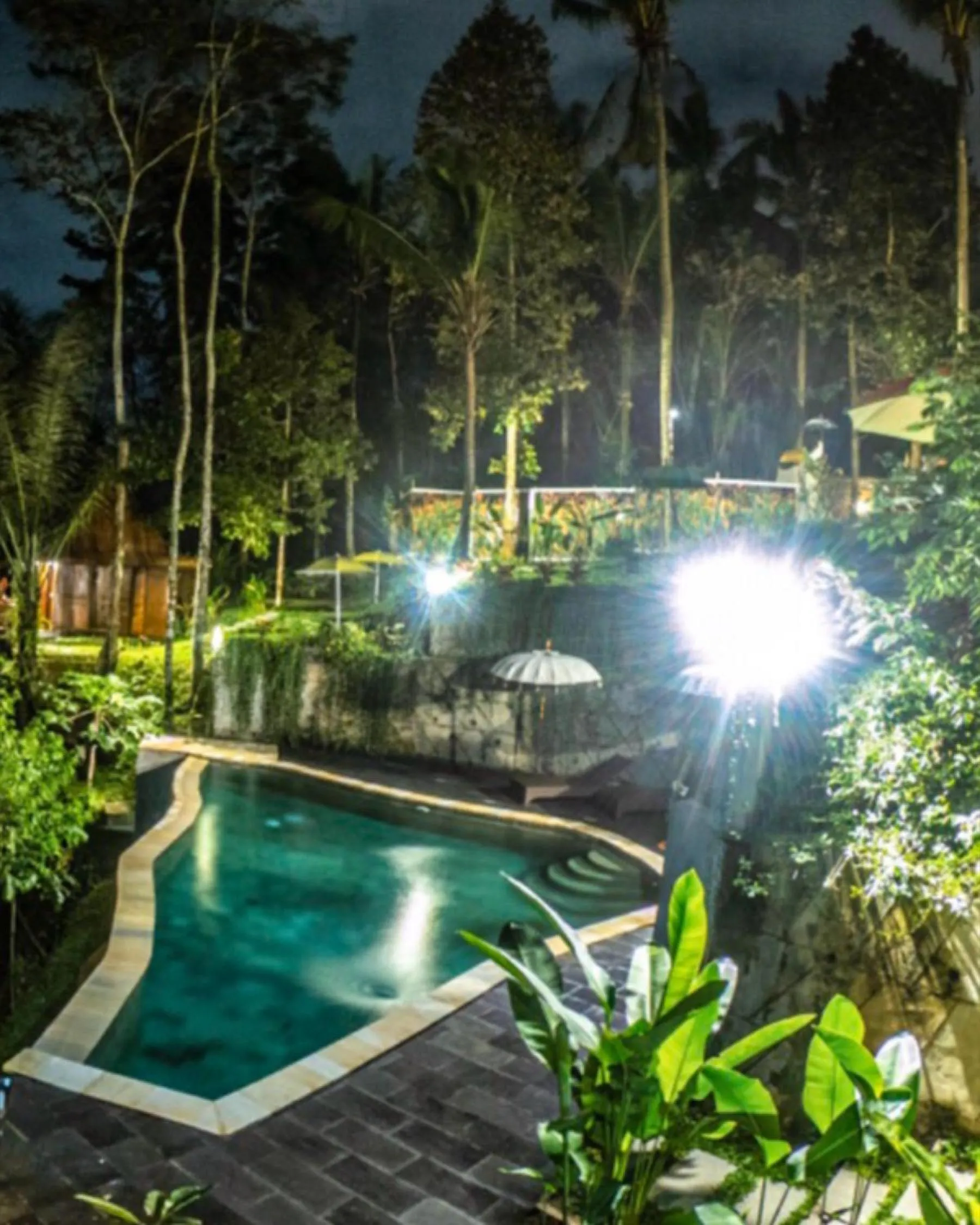 The Jungle Villa Family