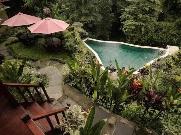 The Jungle Villa Family