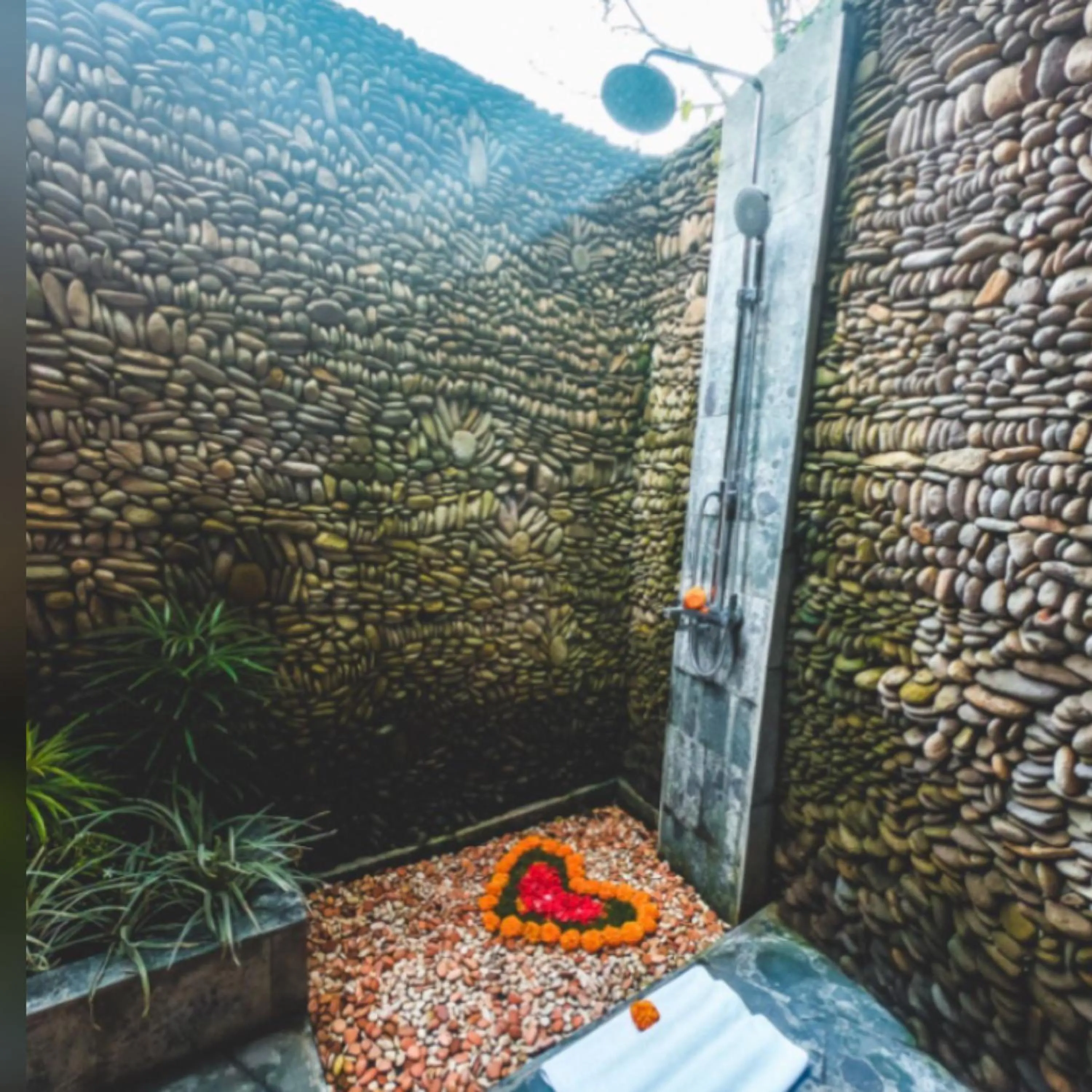 The Jungle Villa Family