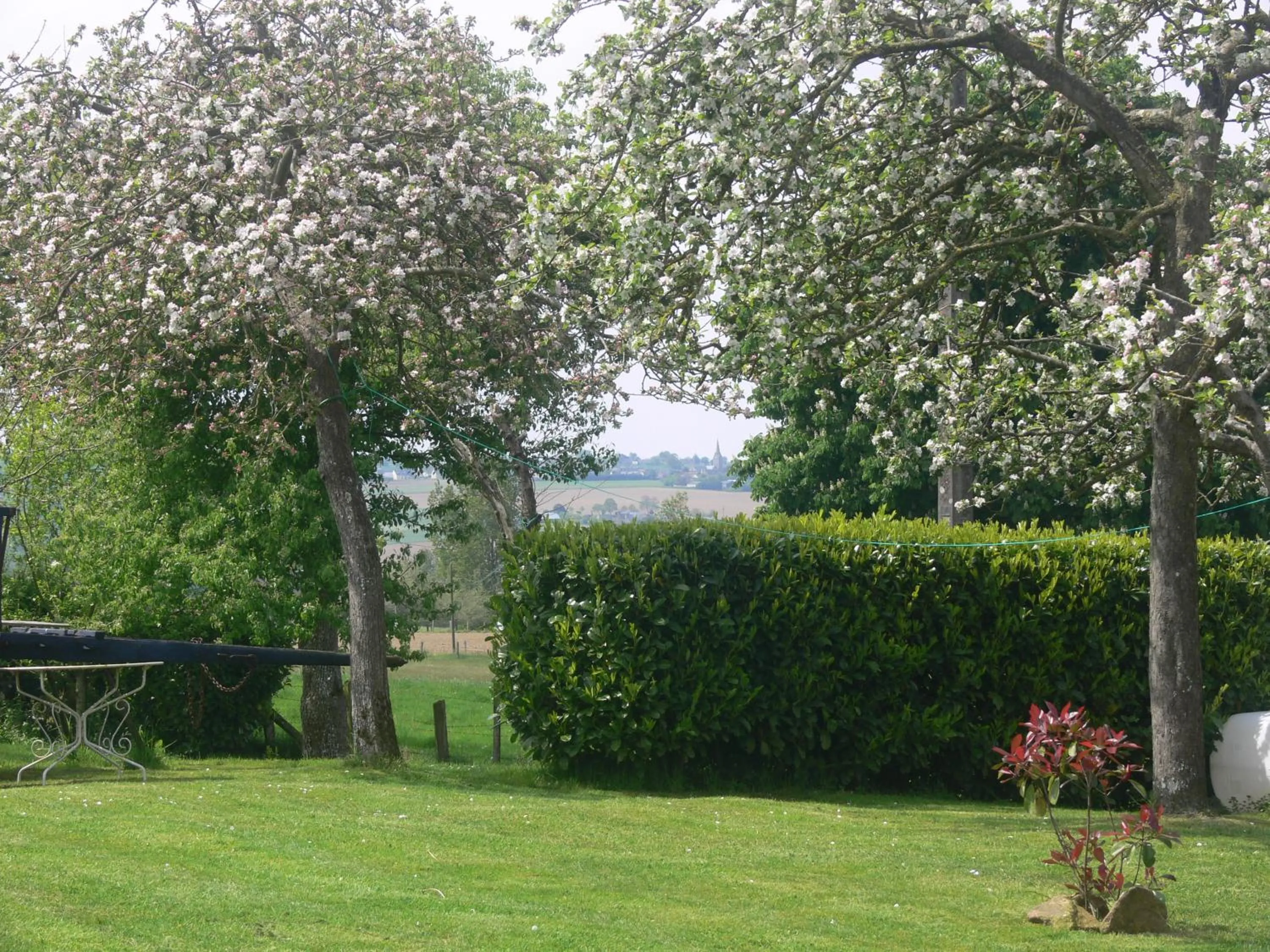Garden in Le Jardin B&B