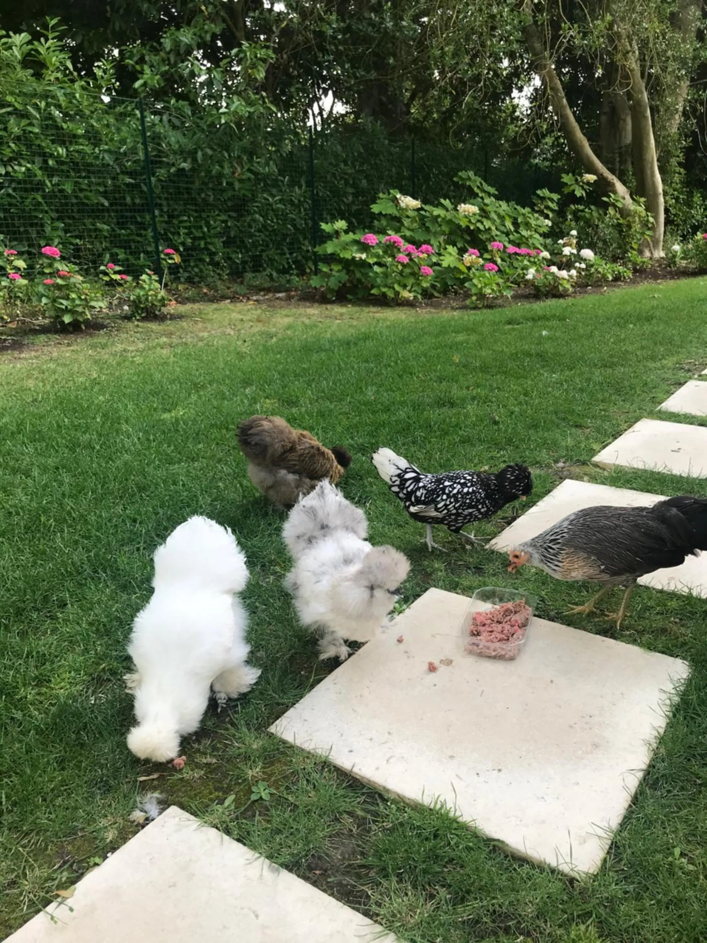 Garden in Manoir des Lions de Tourgéville