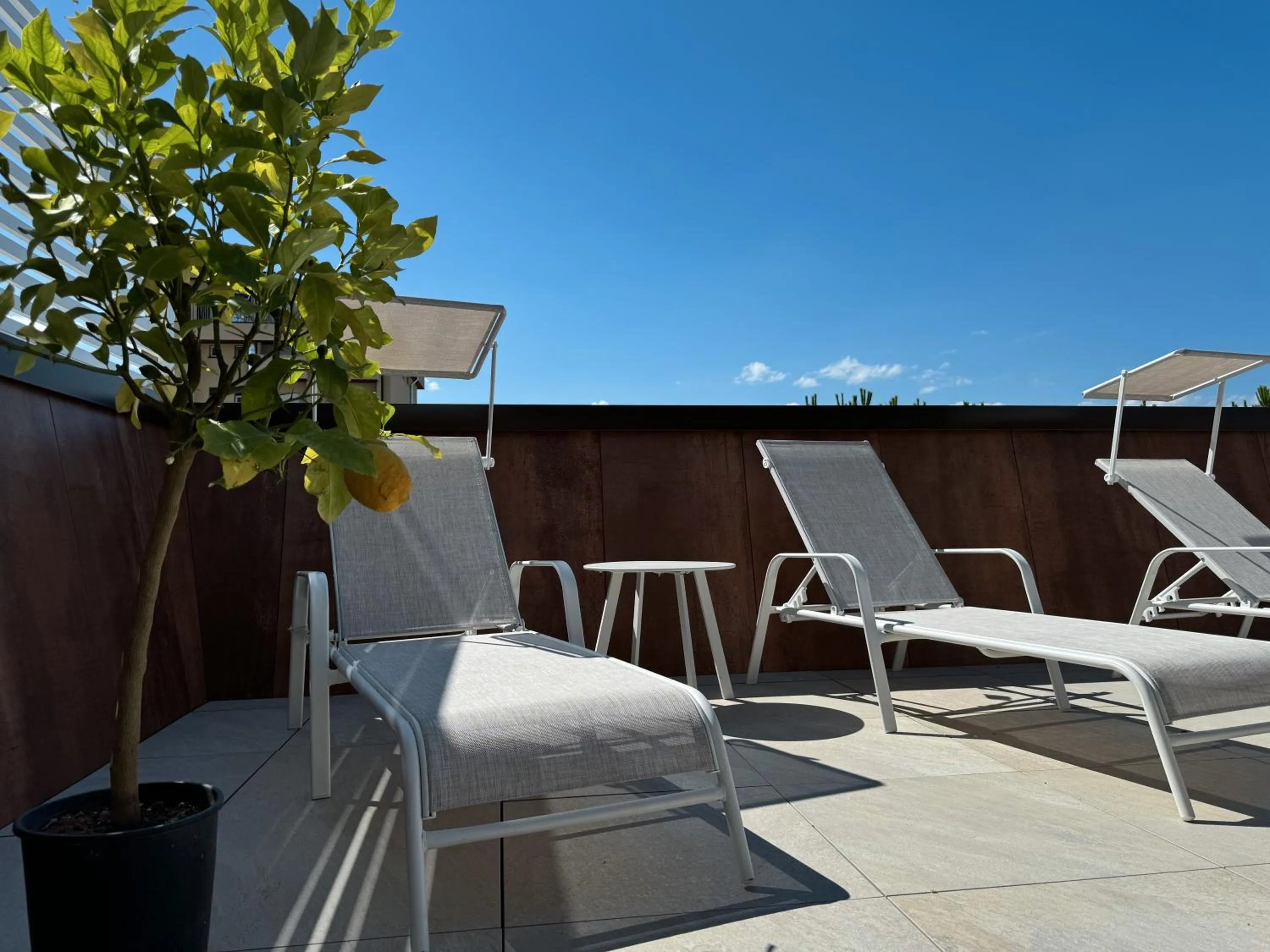 Balcony/Terrace in Hotel Adria B&B - Colazione fino alle 12