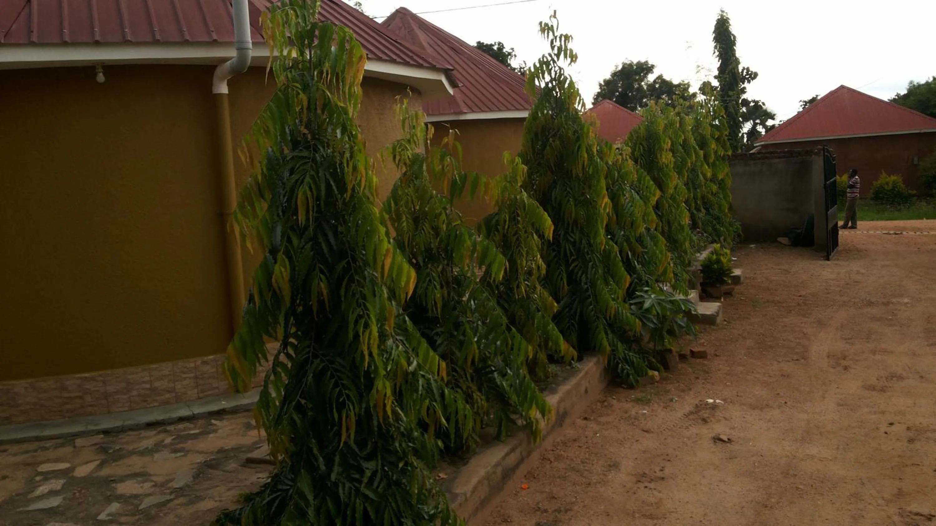 Facade/entrance in Kalalo Cottage Inn