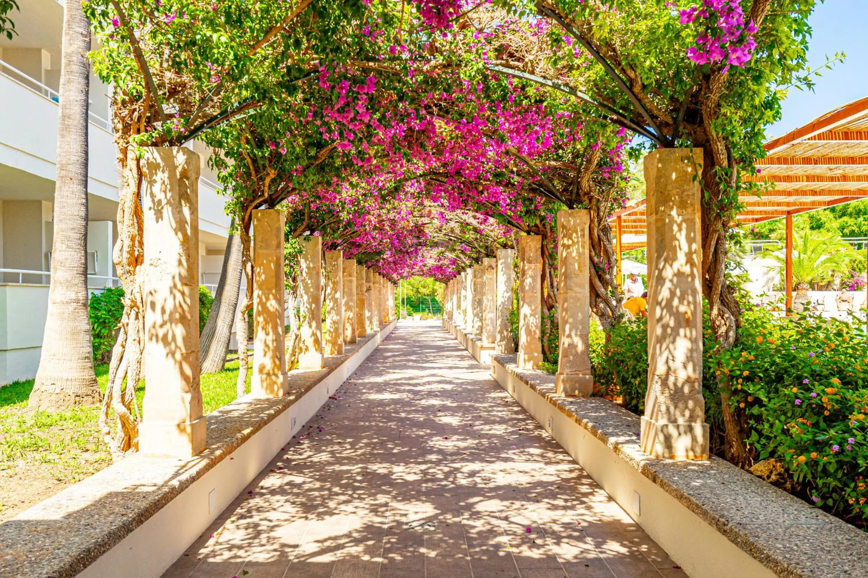 Area and facilities in Hotel Rosella affiliated by Intelier