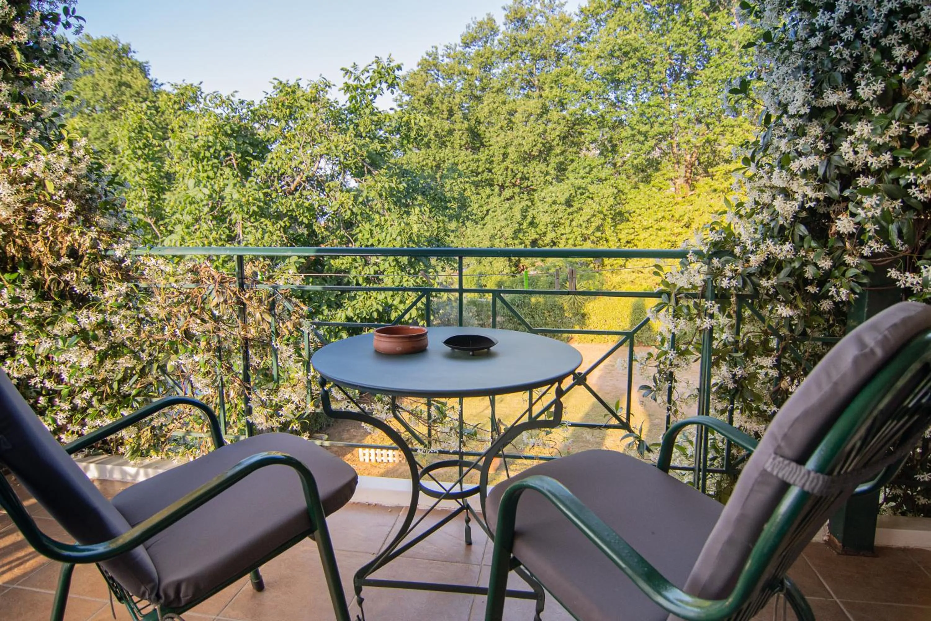 Patio in Tsertos Apartments