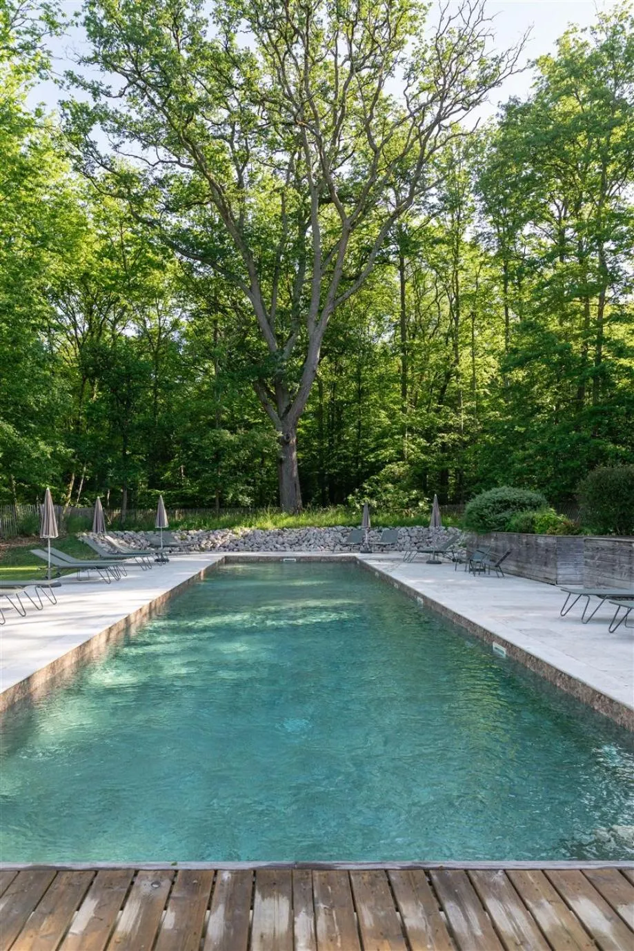 Natural landscape in Les Sources de Cheverny