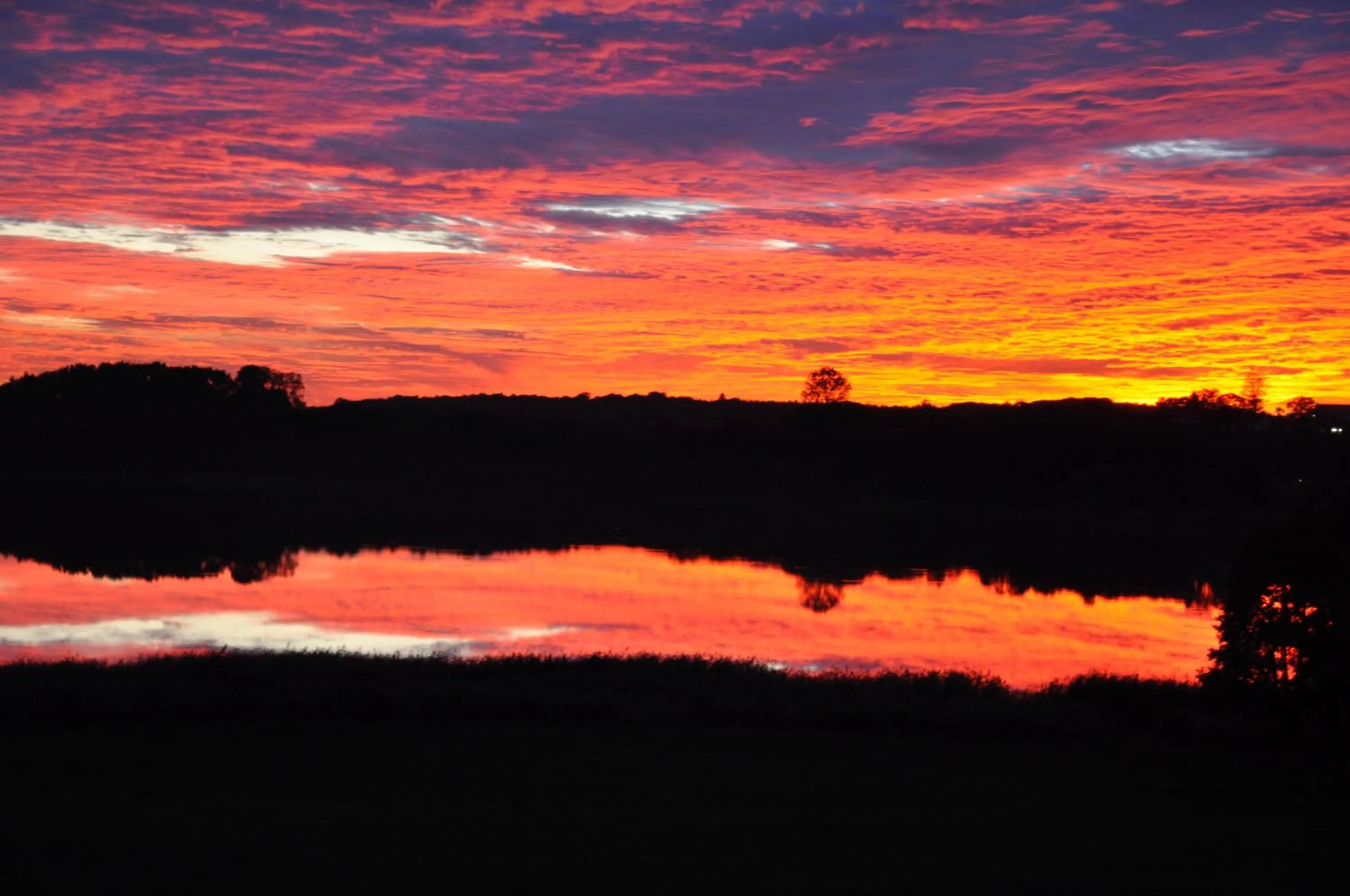 Natural landscape in Hotel am Gothensee