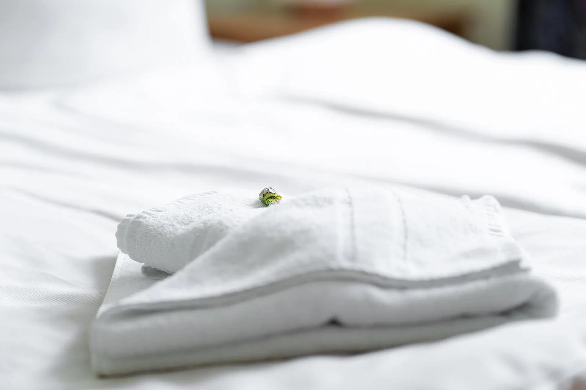 Bed in Hotel am Gothensee