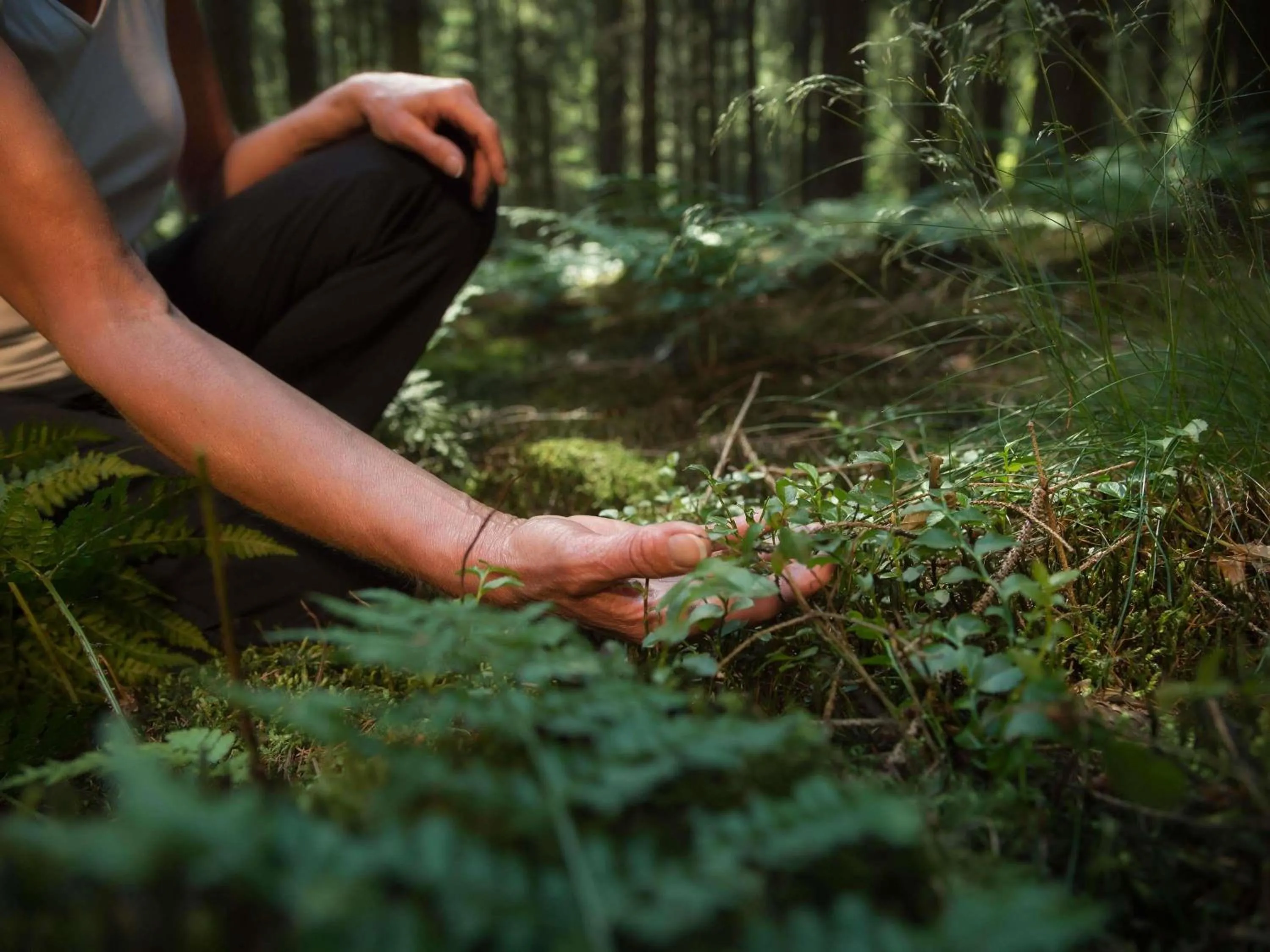 Fitness centre/facilities in ibis Styles Aix les Bains Domaine de Marlioz