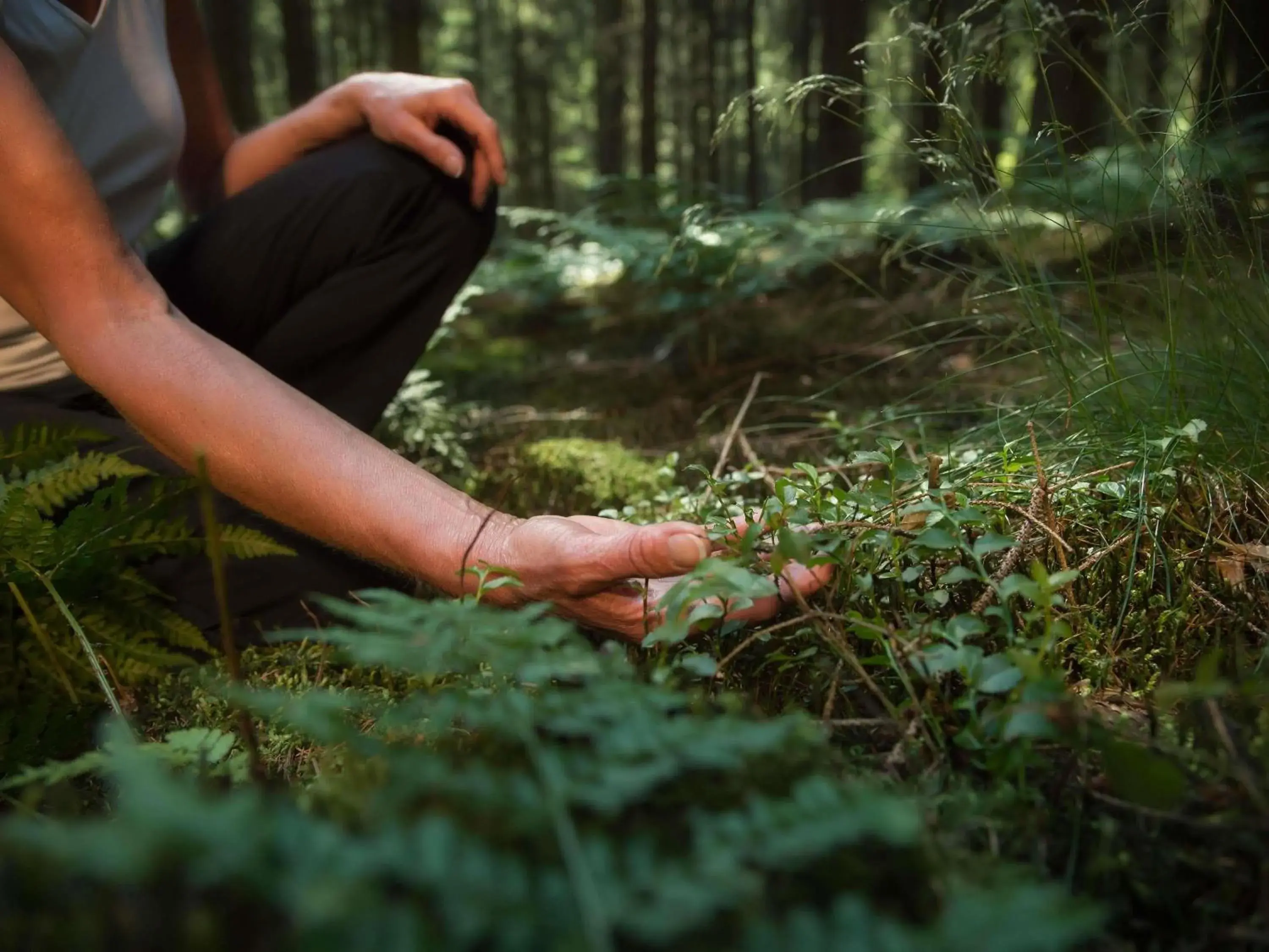 Fitness centre/facilities in ibis Styles Aix les Bains Domaine de Marlioz Fitness centre/facilities in ibis Styles Aix les Bains Domaine de Marlioz