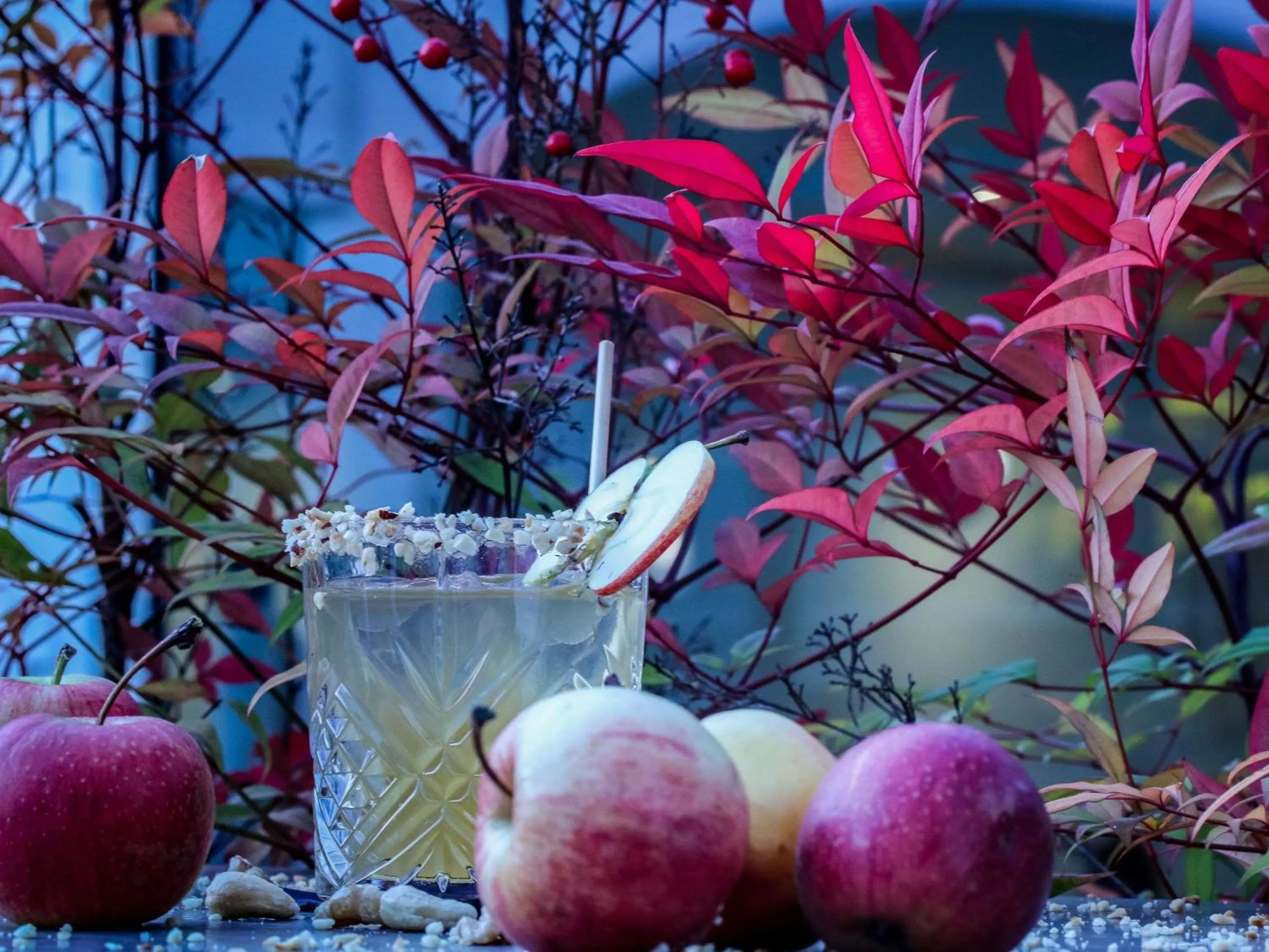 Lounge or bar in ibis Styles Aix les Bains Domaine de Marlioz