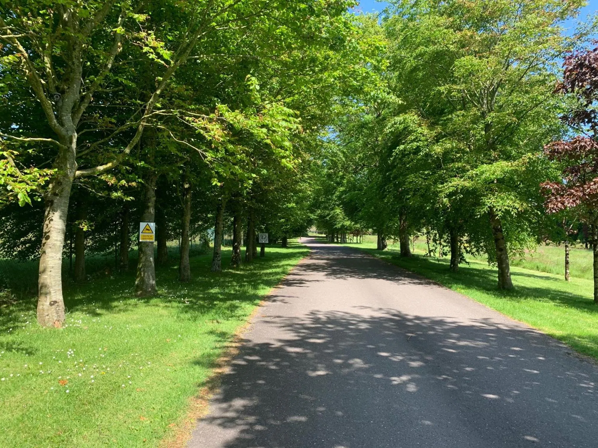 Natural landscape in Fernhill Lodge Carrigaline