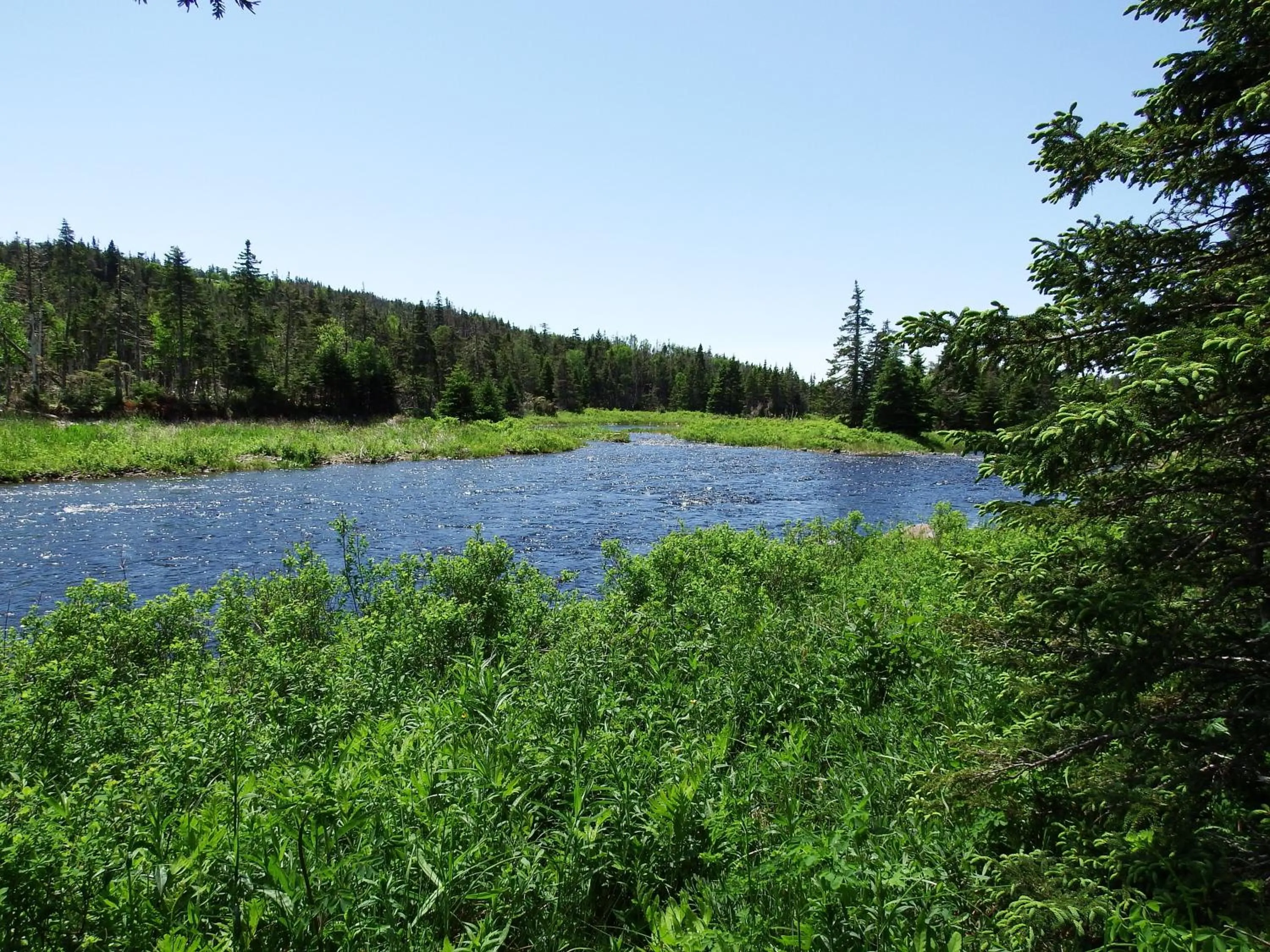 Hiking in The Wilds at Salmonier River
