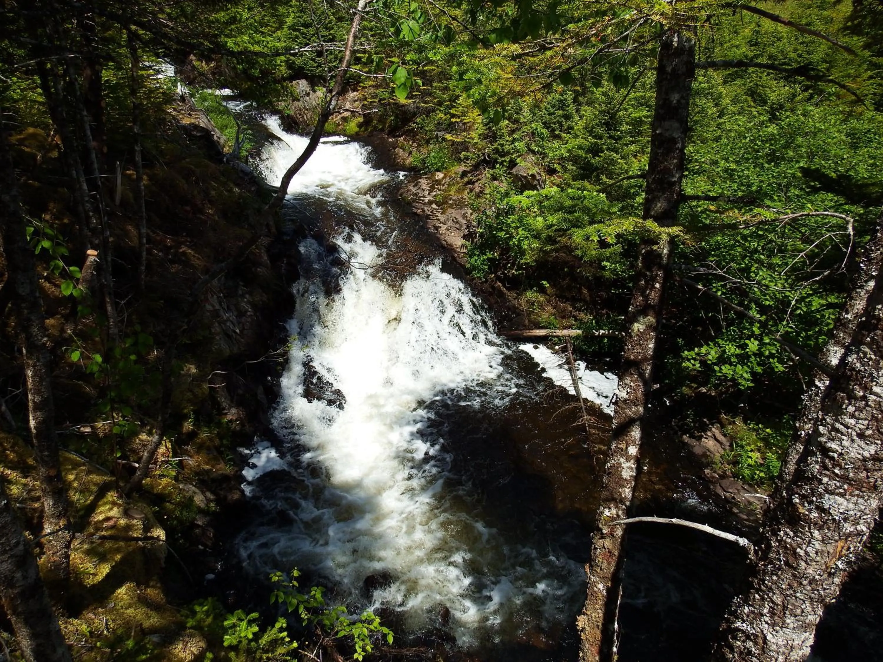 Hiking in The Wilds at Salmonier River