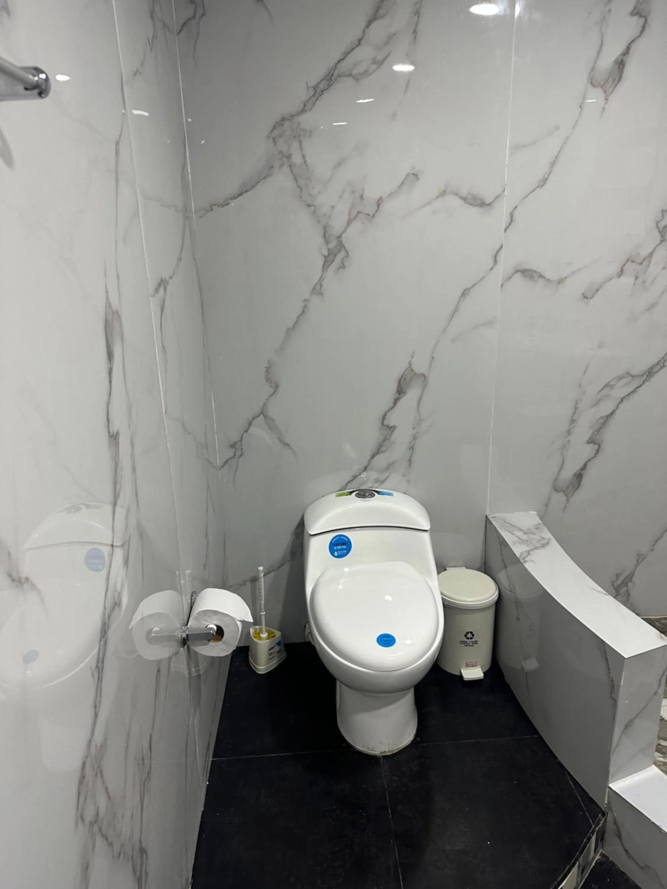 Toilet in Ivootel