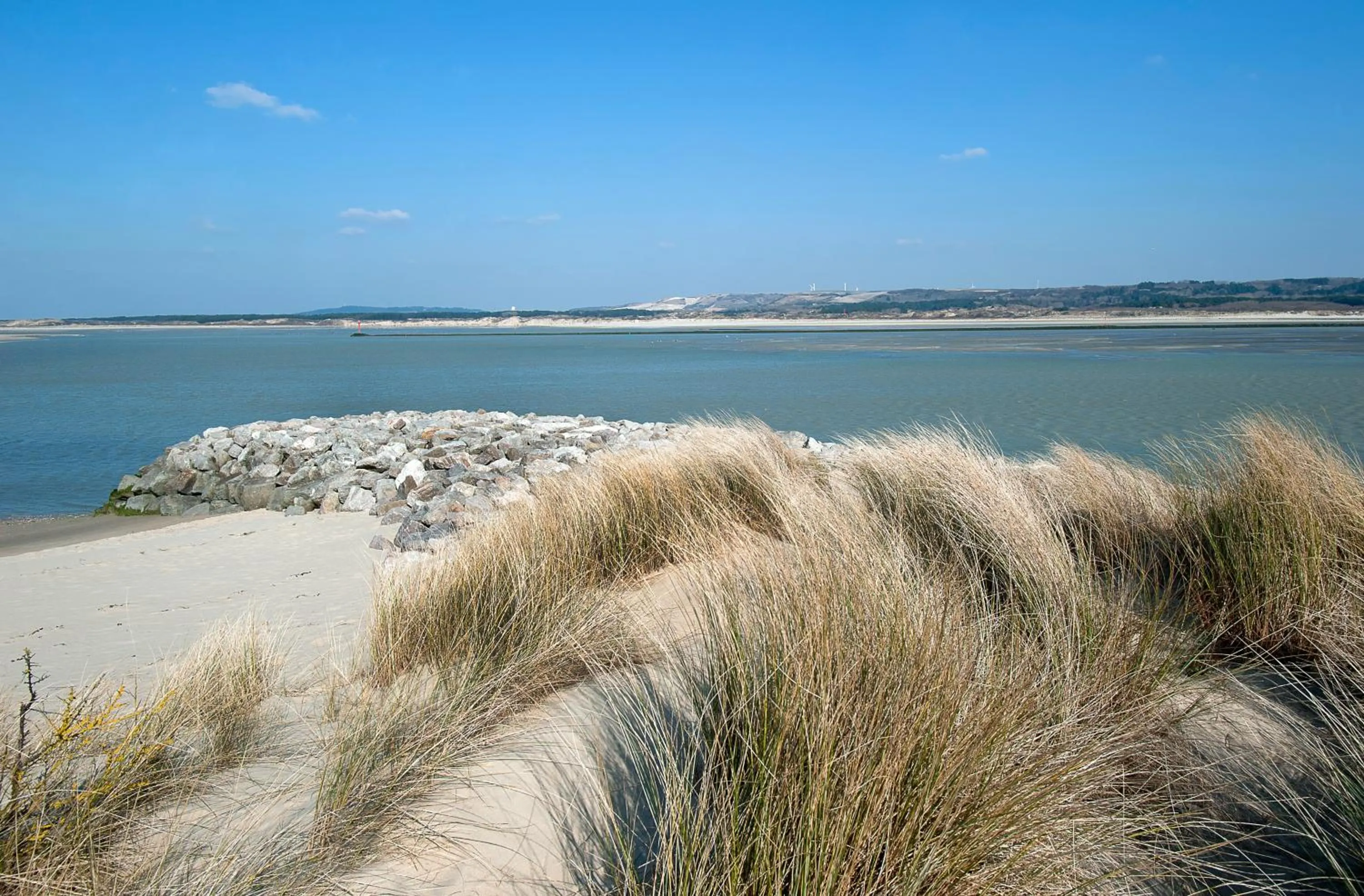 Natural landscape in Le Grand Hôtel Le Touquet-Paris-Plage